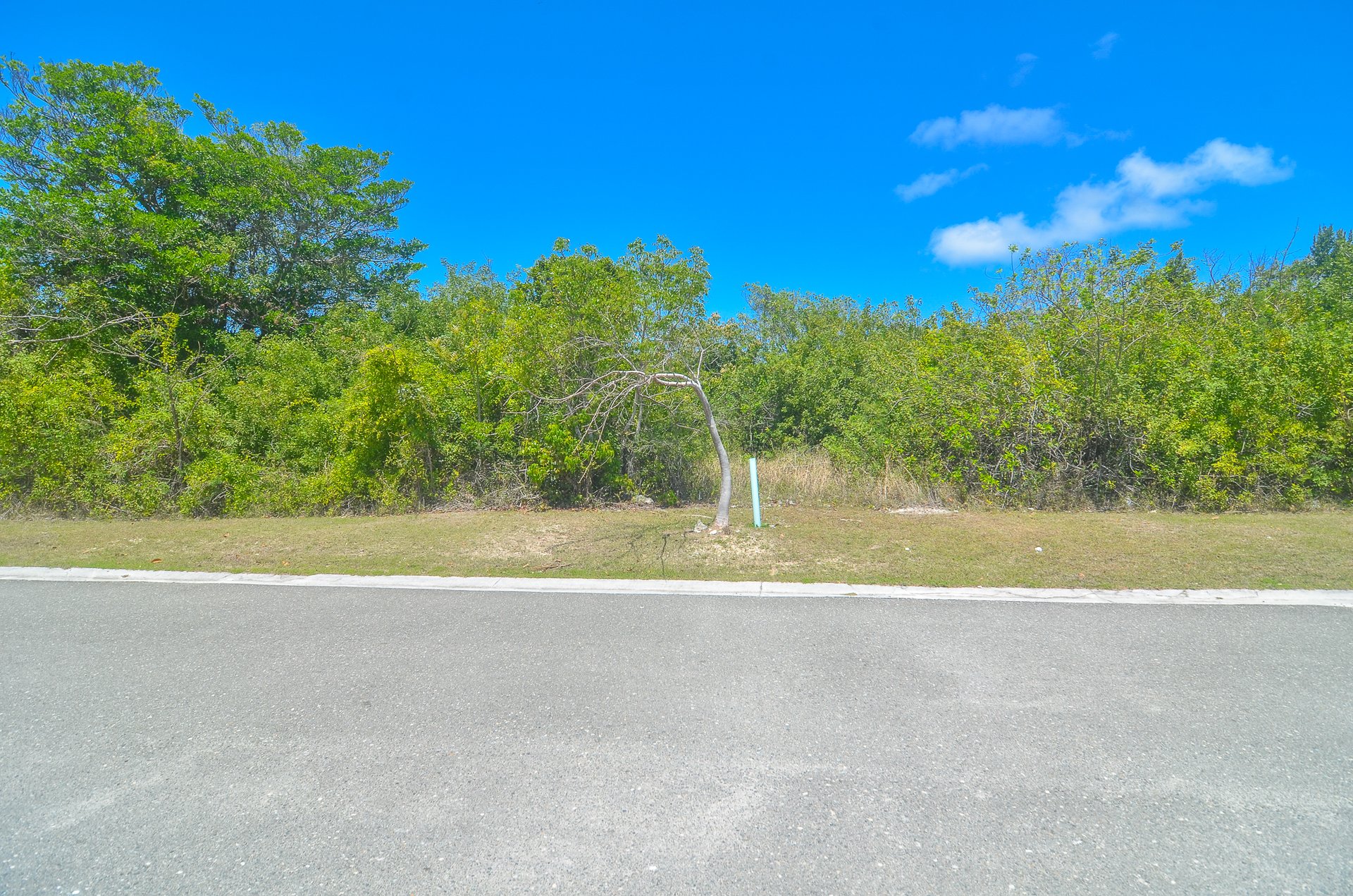 Lot #3 Lyford Hills