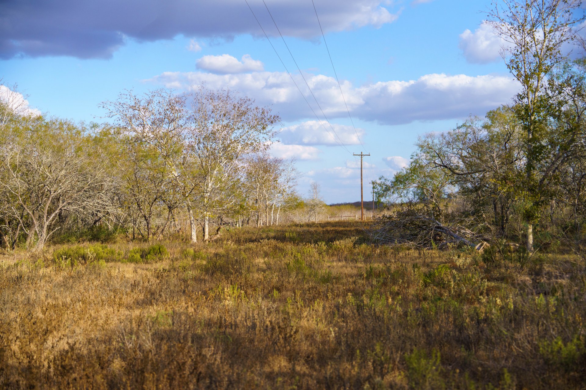 Gonzales County | 104+/- Acres