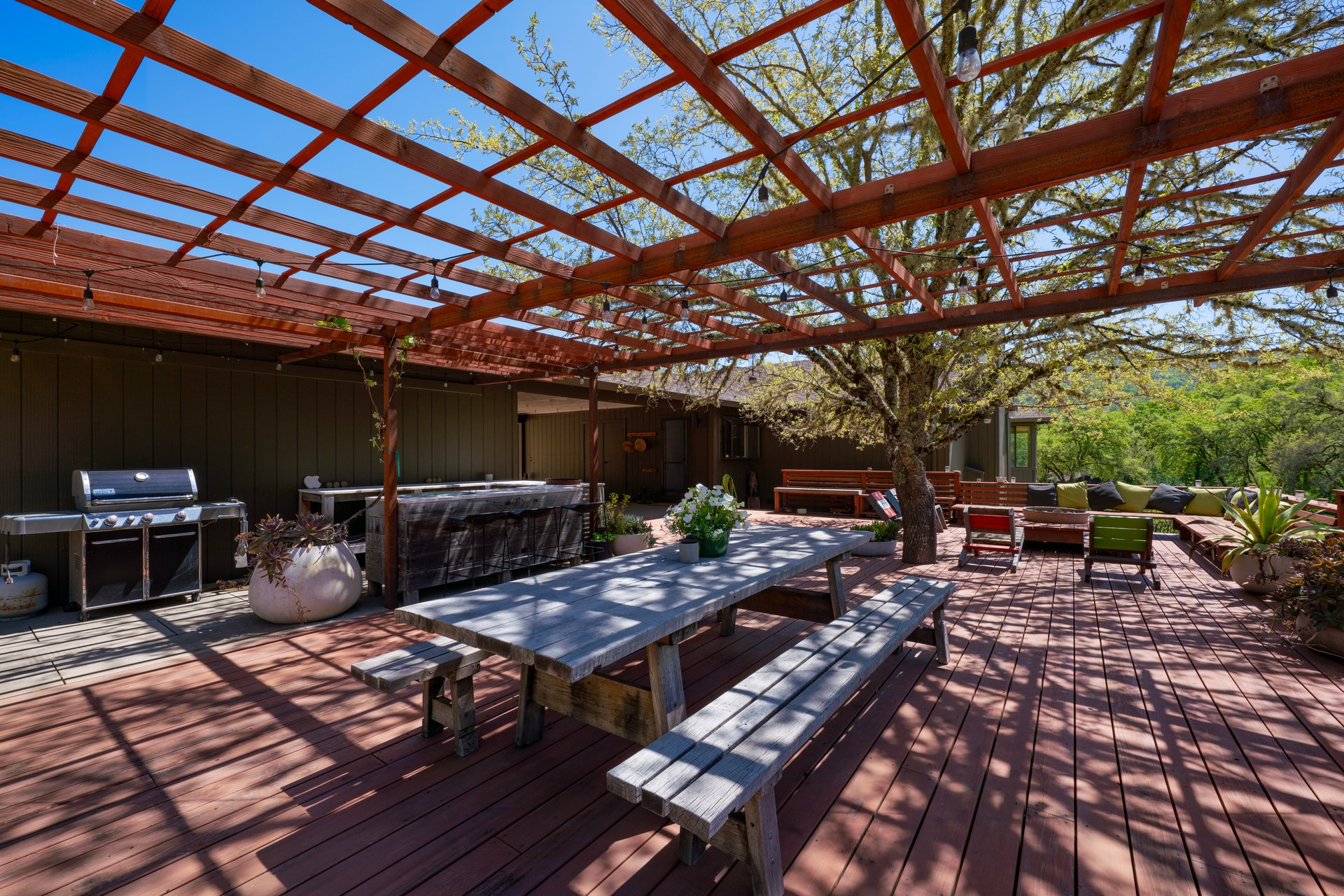 Open Hand Ranch 