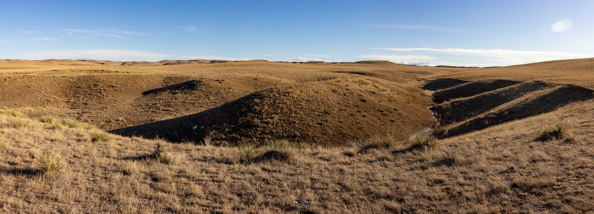 Prairie Rise Ranch