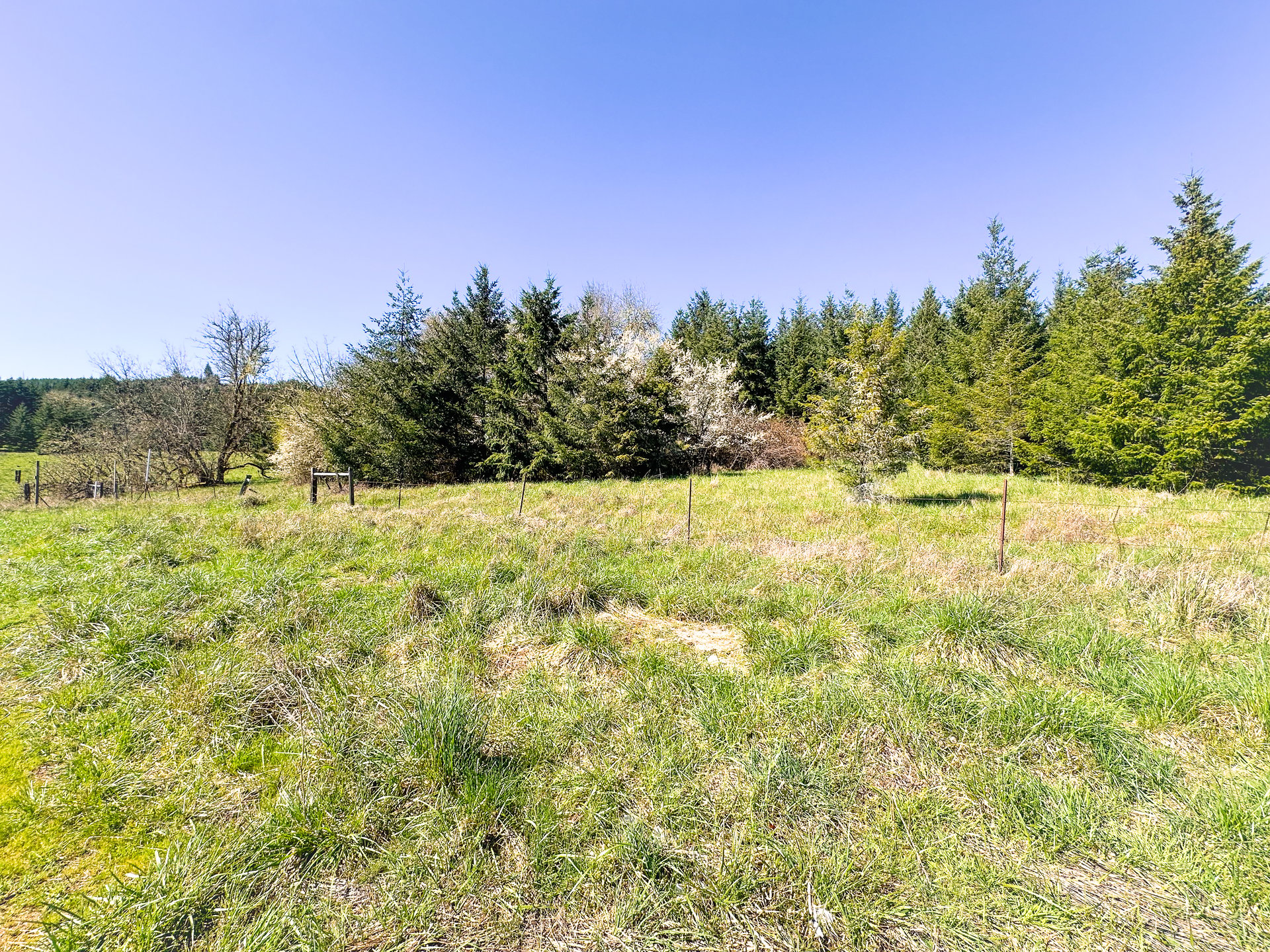 HARRIS FARM & FOREST
