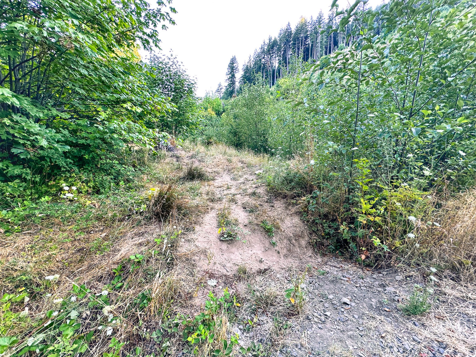 Honey Grove Creek