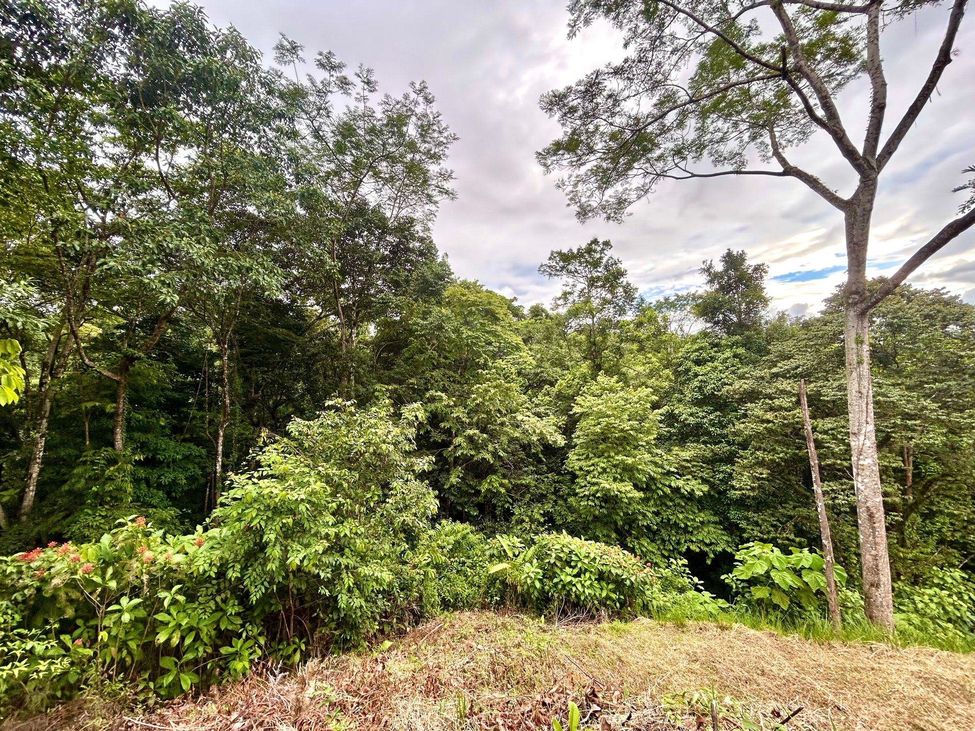 Beautiful Lot in Phase 9 Ojochal, Gated Communuity - NOW WITH LEGAL WATER