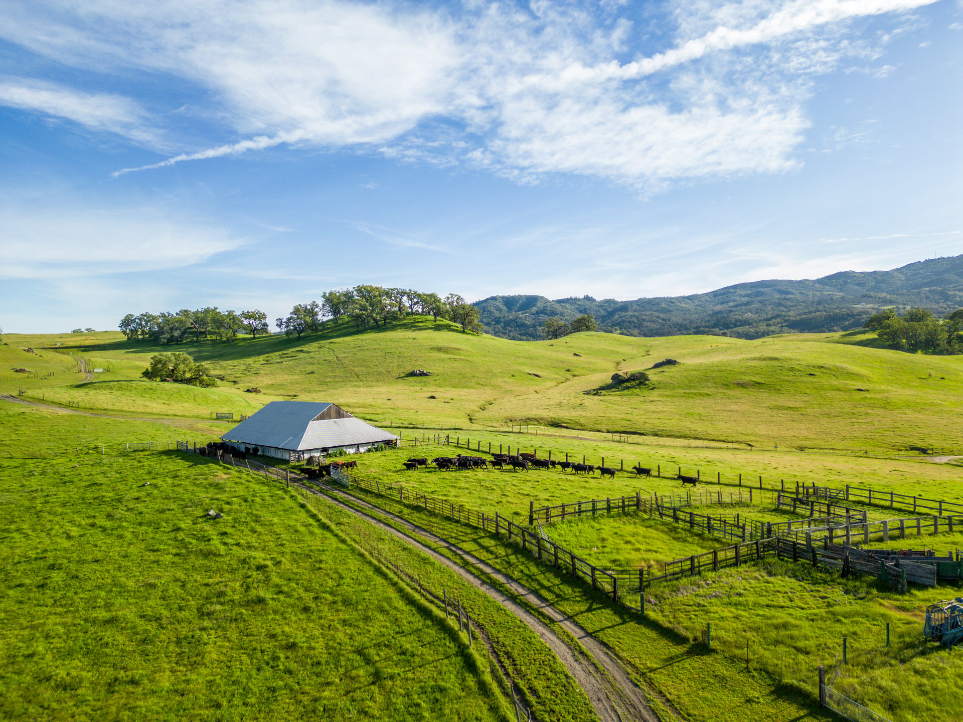 The Hopland Hills Ranch