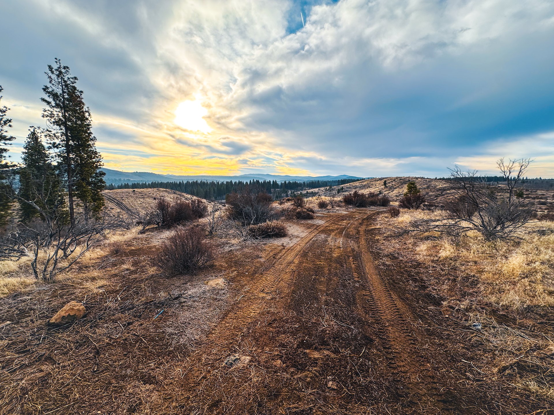 Klamath Basin