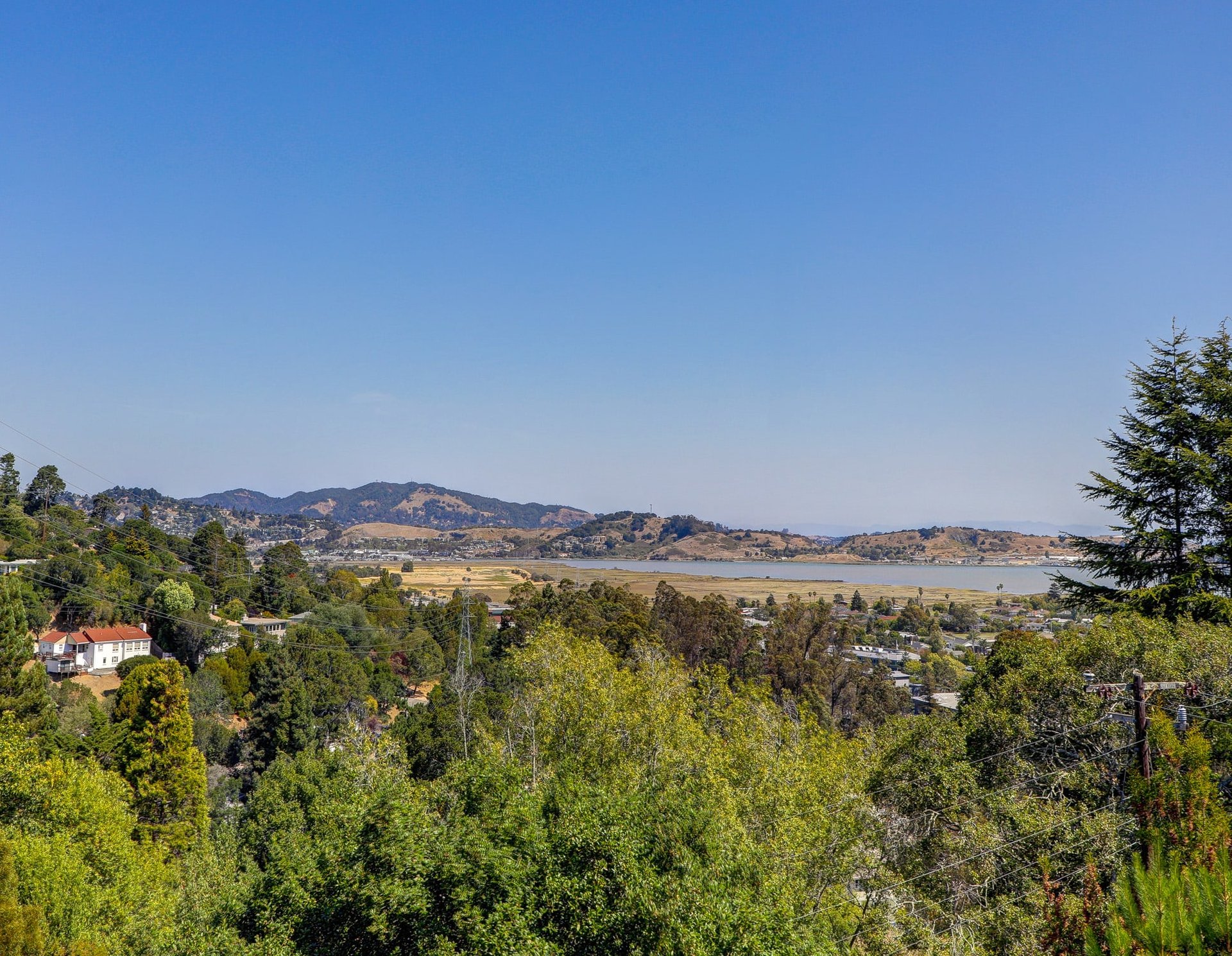 1121 Meadowsweet