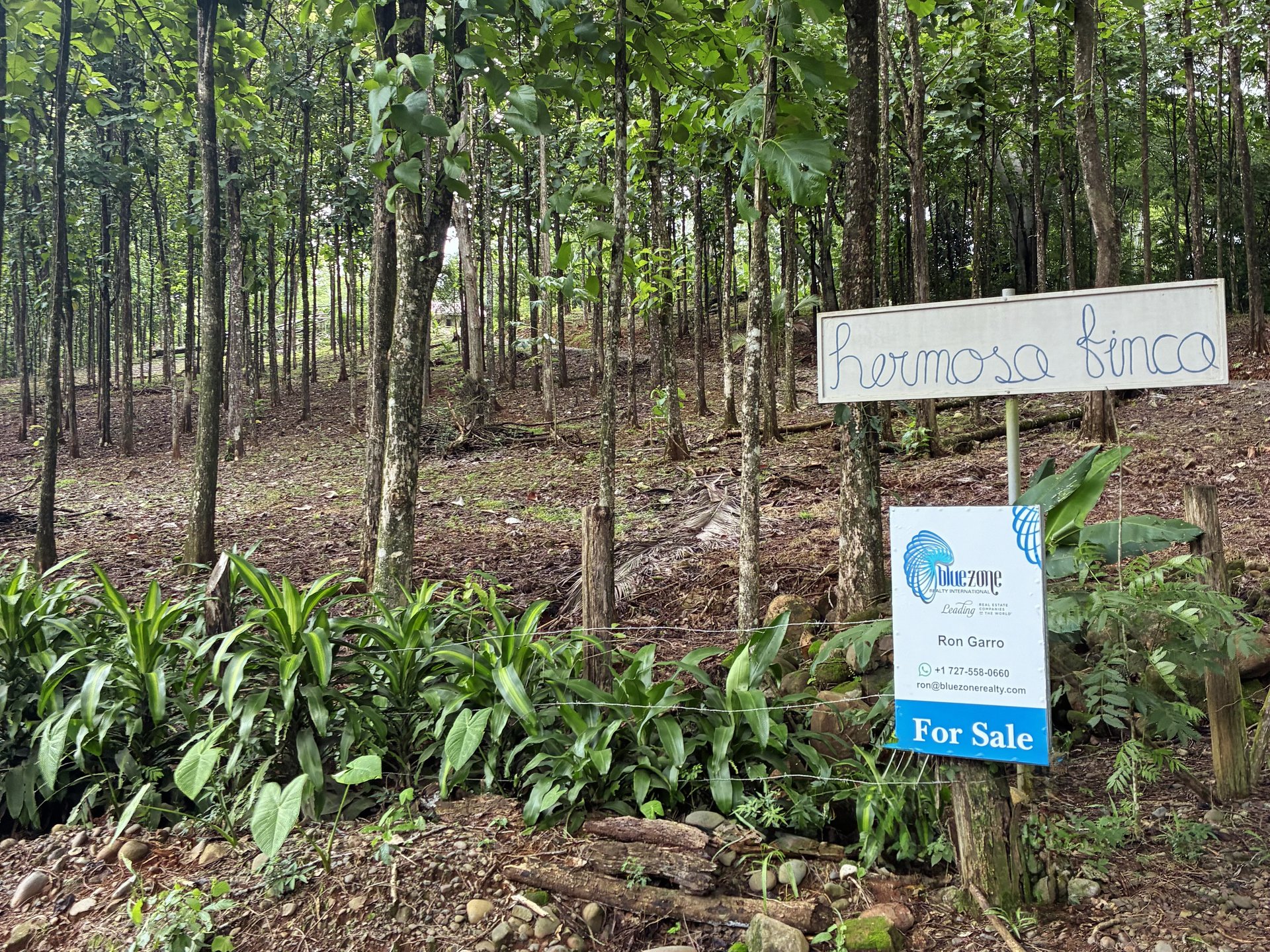 7-Hectare Farm with Teak Plantation, Existing Home & Eco-Development Potential Near Parrita, Costa Rica