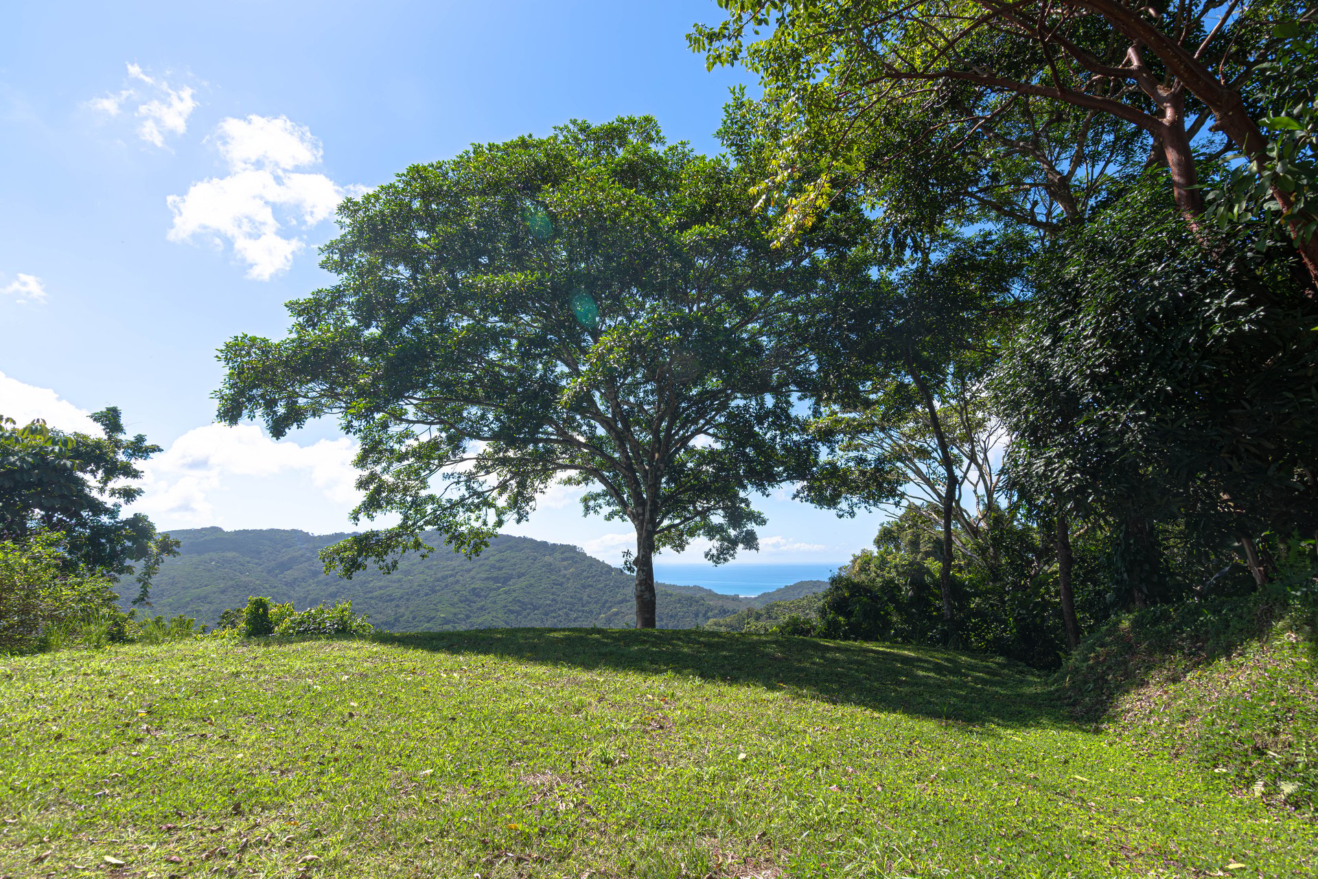A Rare Thermal-Wellness Development Opportunity - Cacao Estates