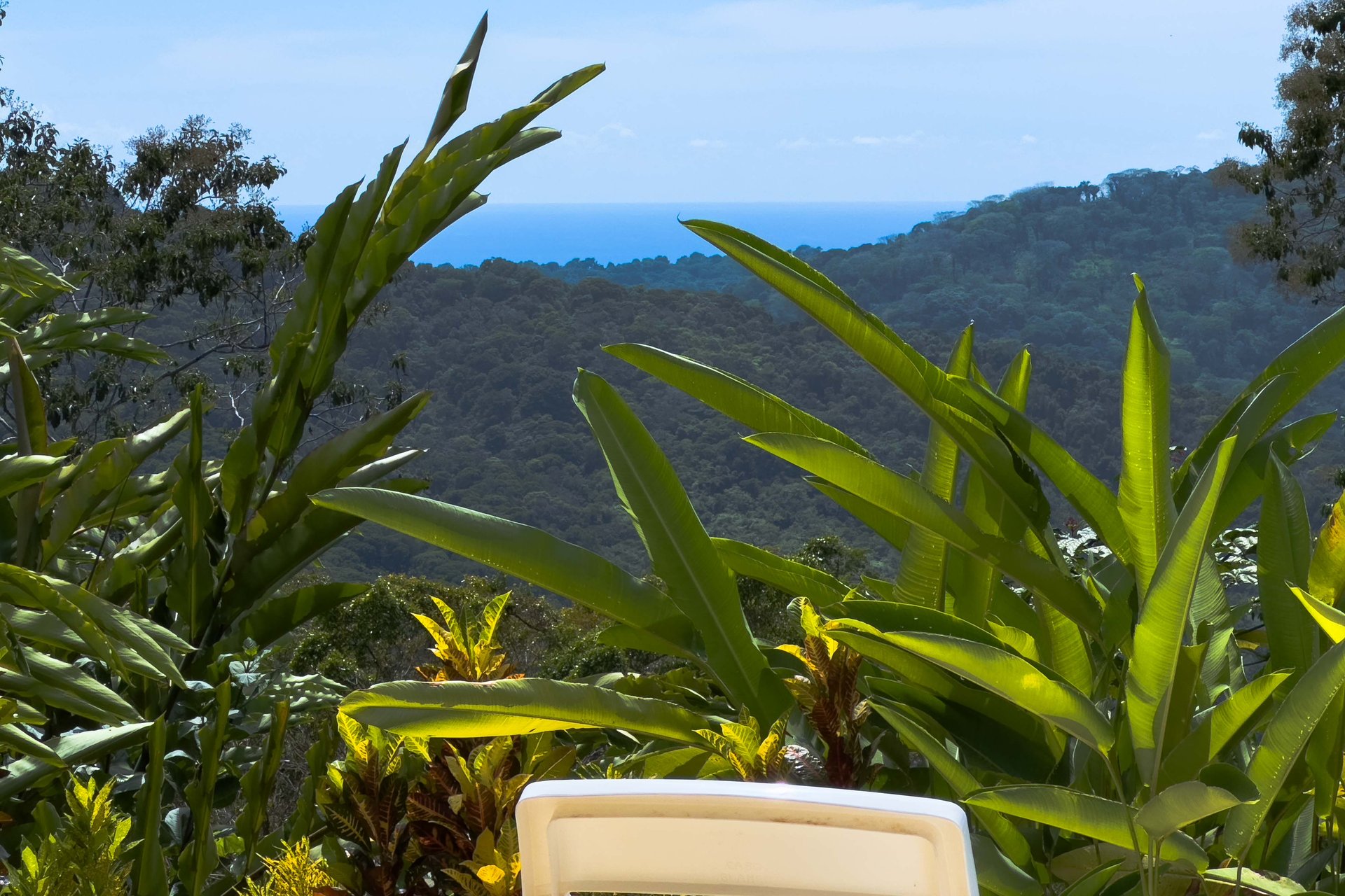 Ocean View Home for Sale in Dominical