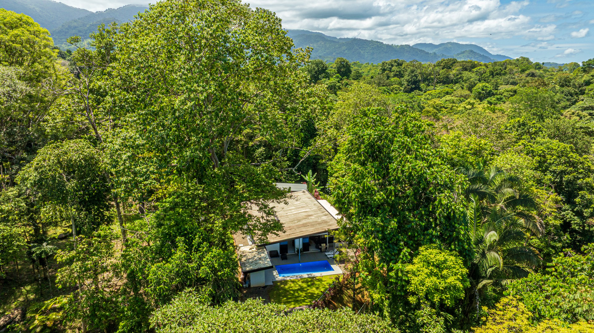 Cinco Ventanas Jungle Life Redefined