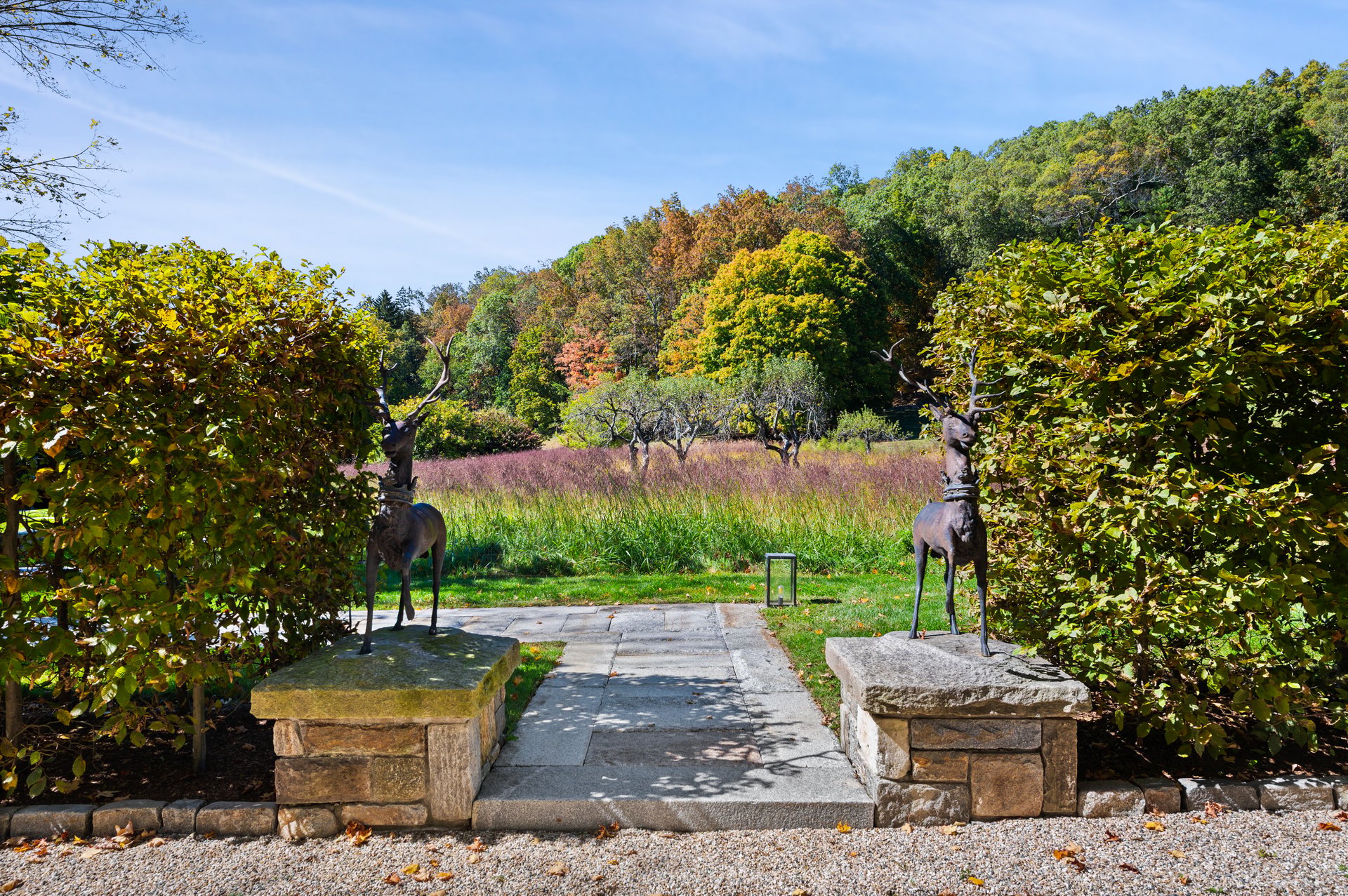 Brook Hollow Farm