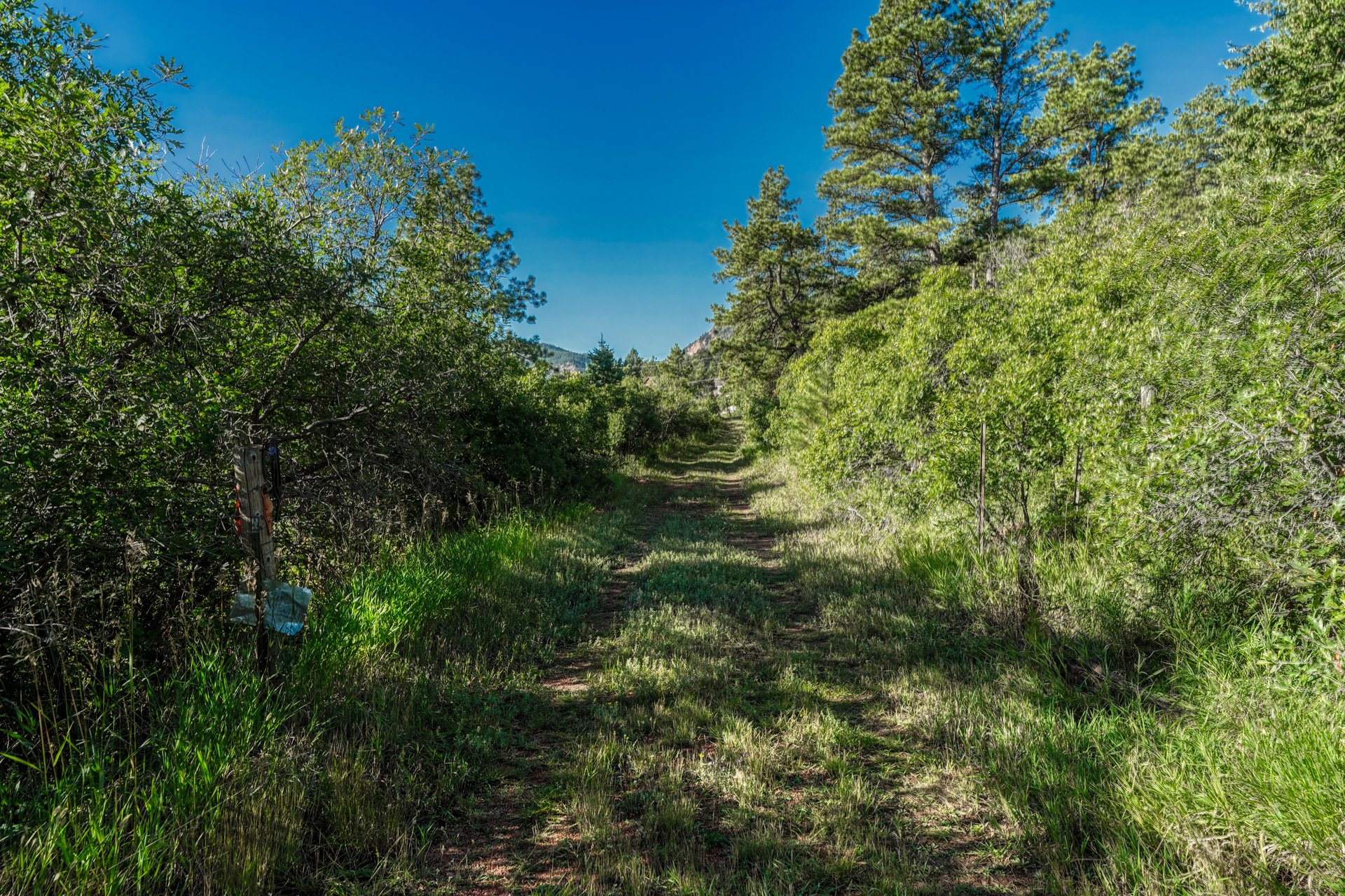 00 Columbine Road