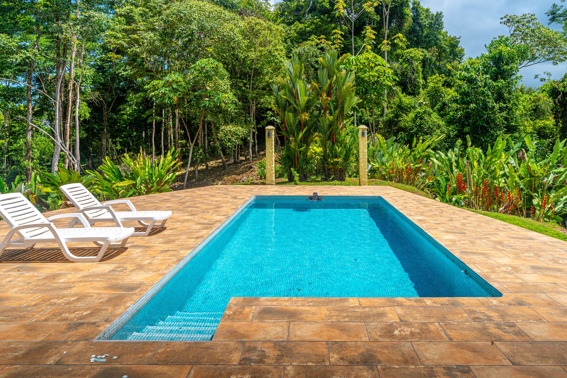 Amazing Mountain View and Ocean View House and Guest House on 4.5 Acres of land in Ojochal