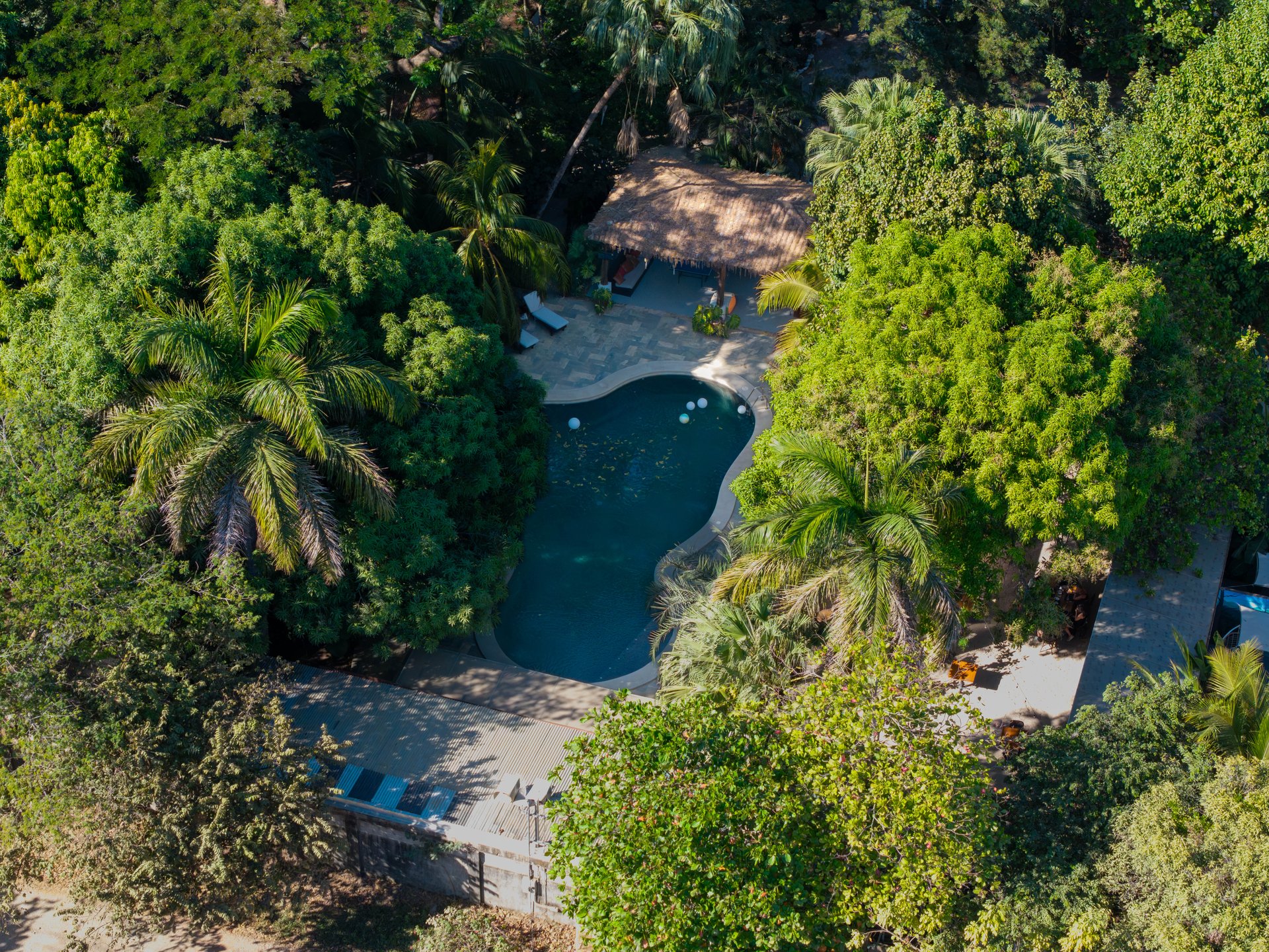 Hotel Curiol | Turnkey Boutique Jungle Hotel with Restaurant & Bar in Potrero