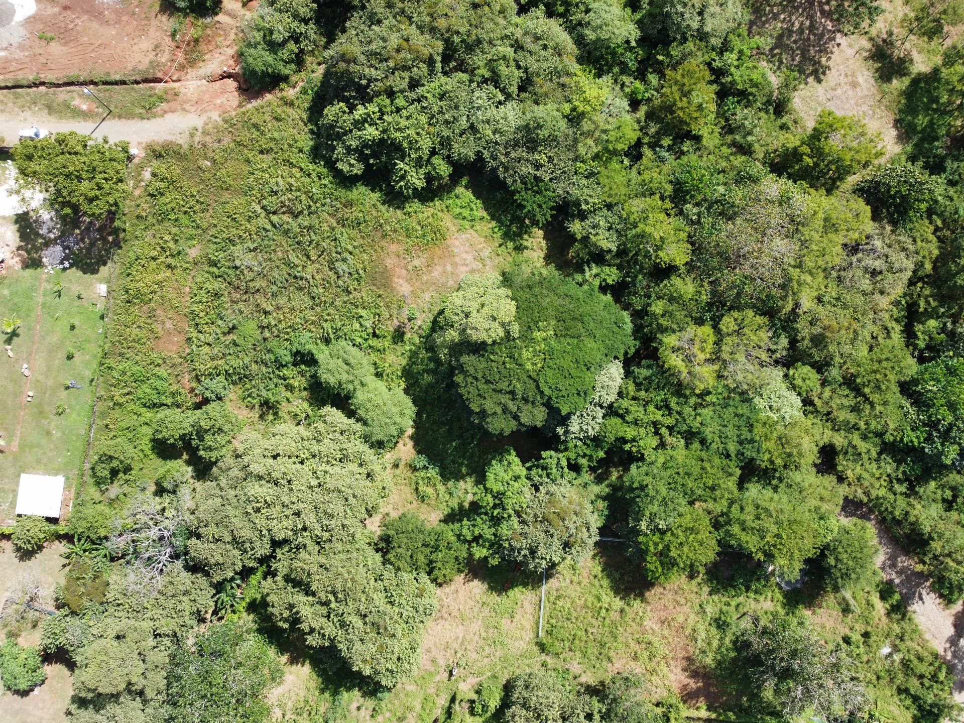 Private Jungle Estate Land in Vistas de Flamingo, Guanacaste, Costa Rica