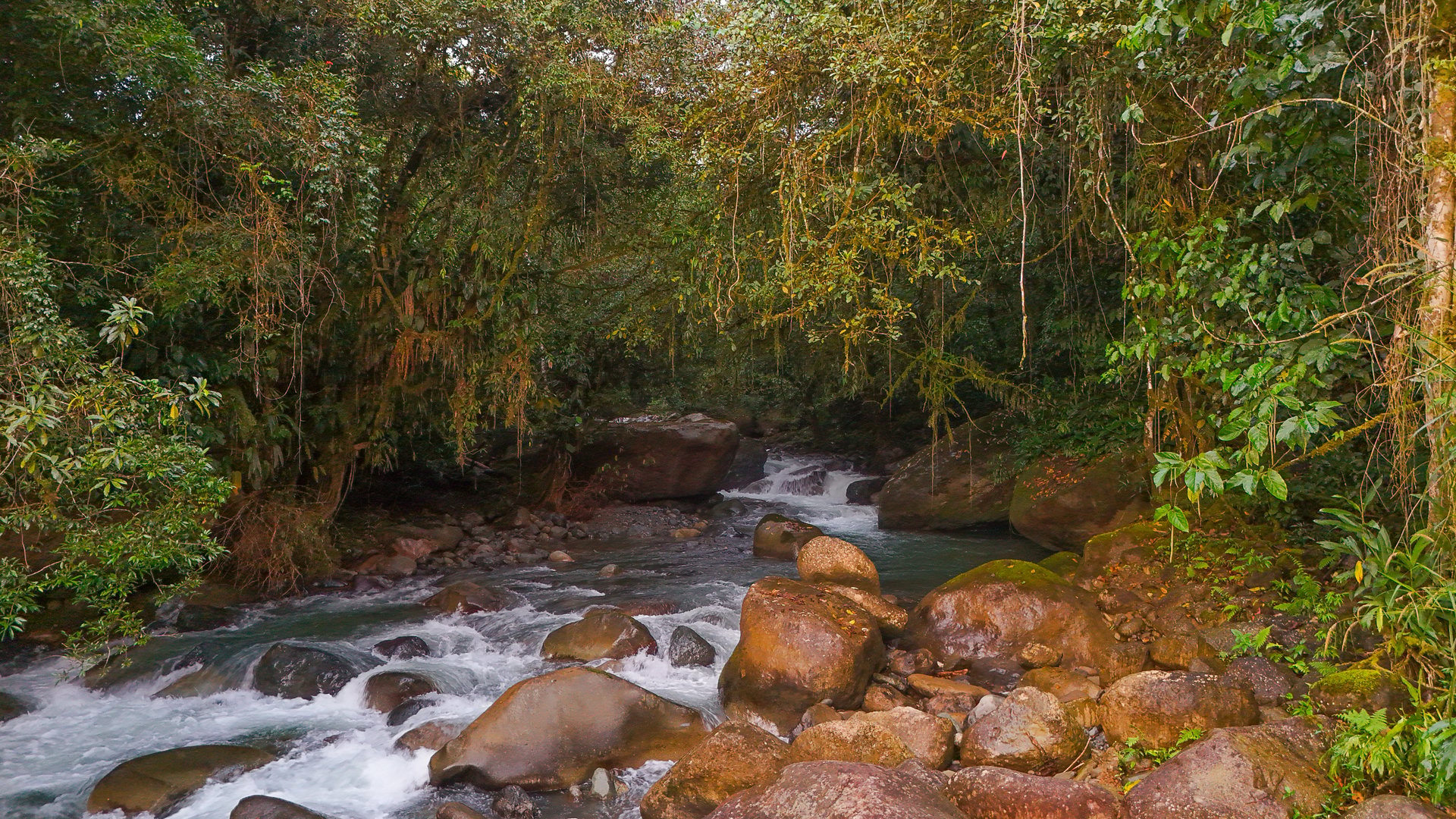 Costa Rica Mountain Retreat – 1.8 ha with Luxury Cabin, Private Lake & Riverfront