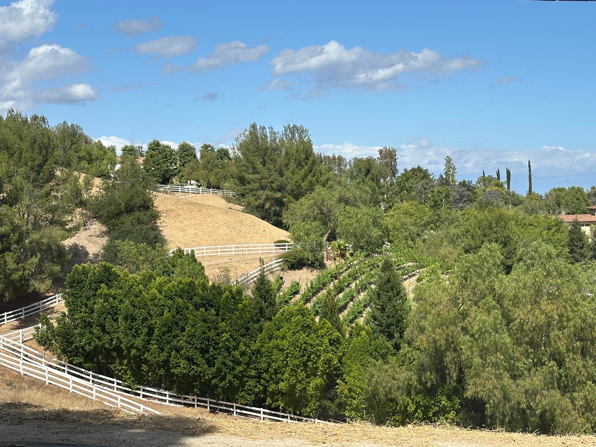 24962 Eldorado Meadow Rd