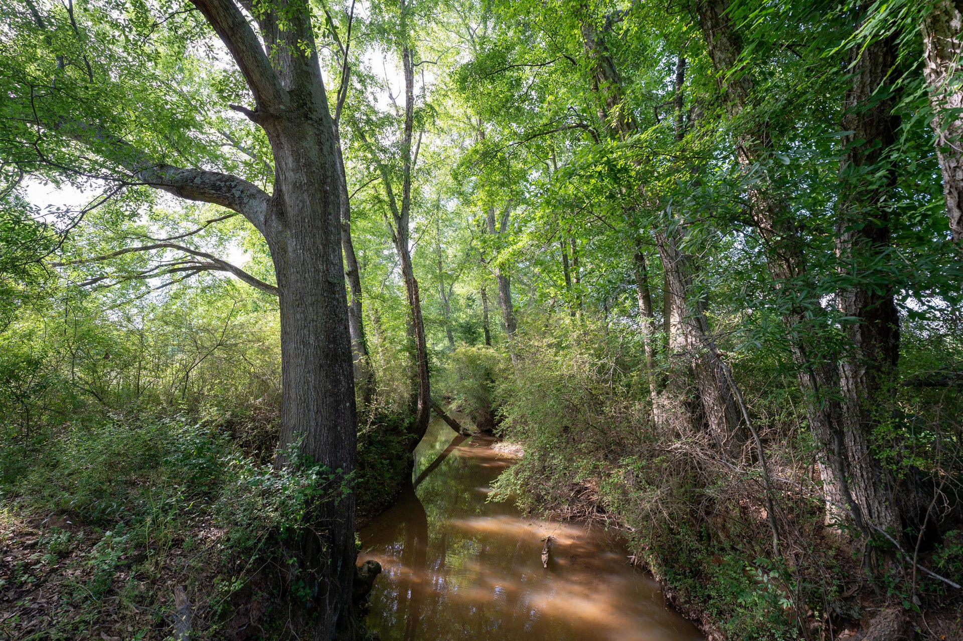 The Ranches at Sandy Creek