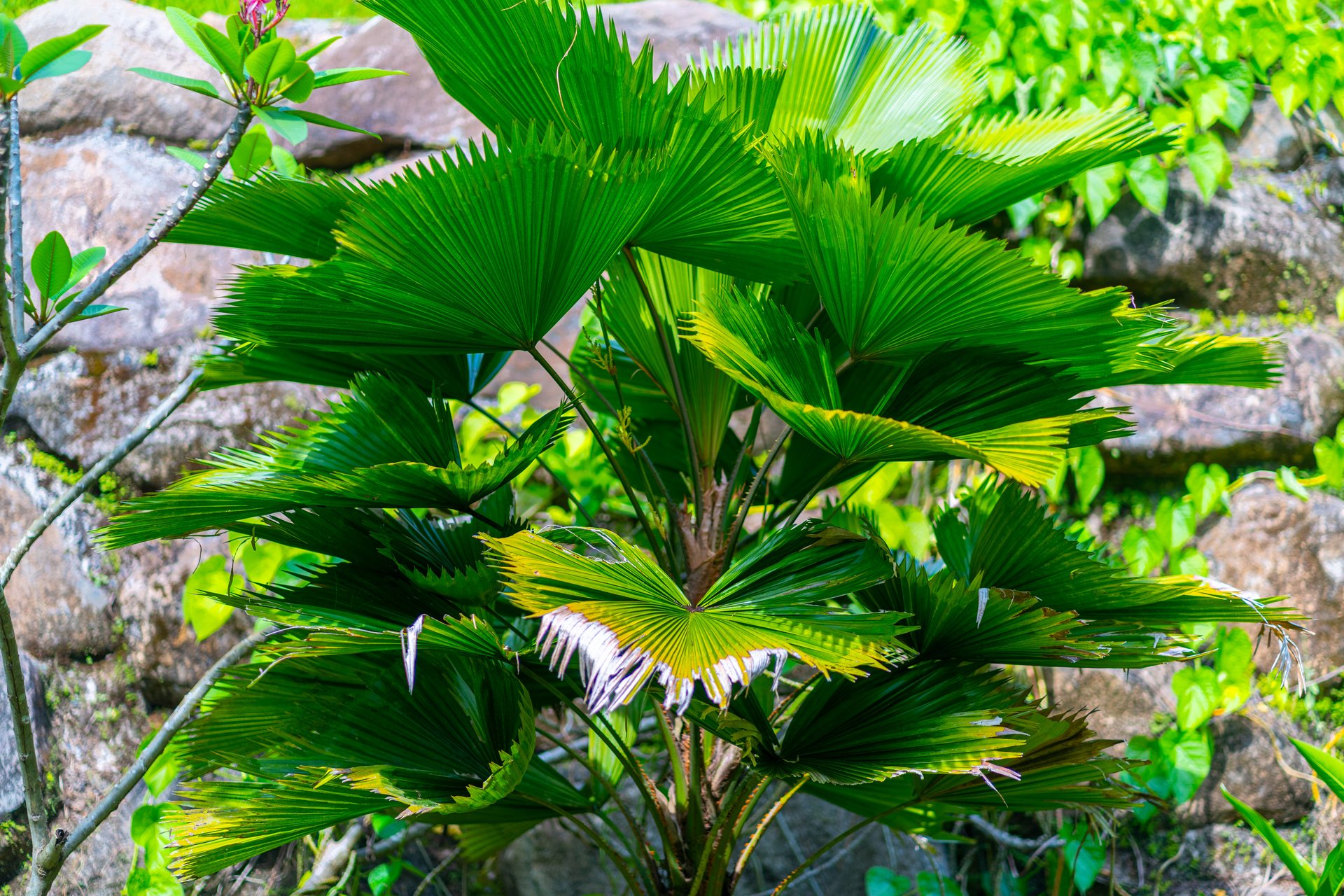 Villa Bali Breeze at Luxury Villa Estates