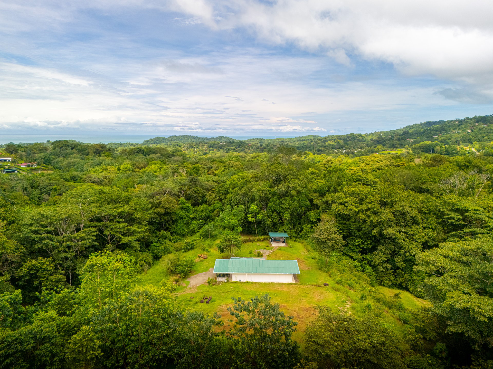 Plant Your Roots at Tierra Bendita! 2.5 Acres, River Frontage, 2 Bedroom Home, Private, Easy Access!