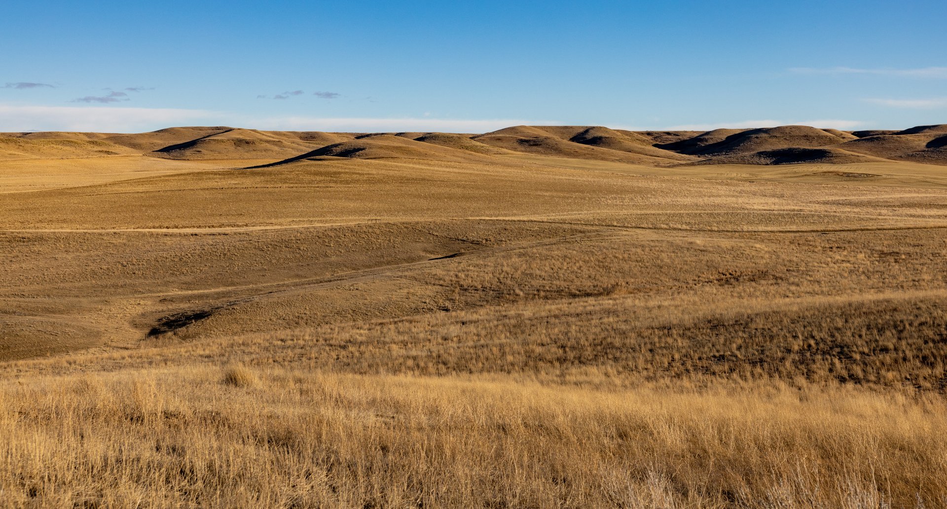 Prairie Rise Ranch
