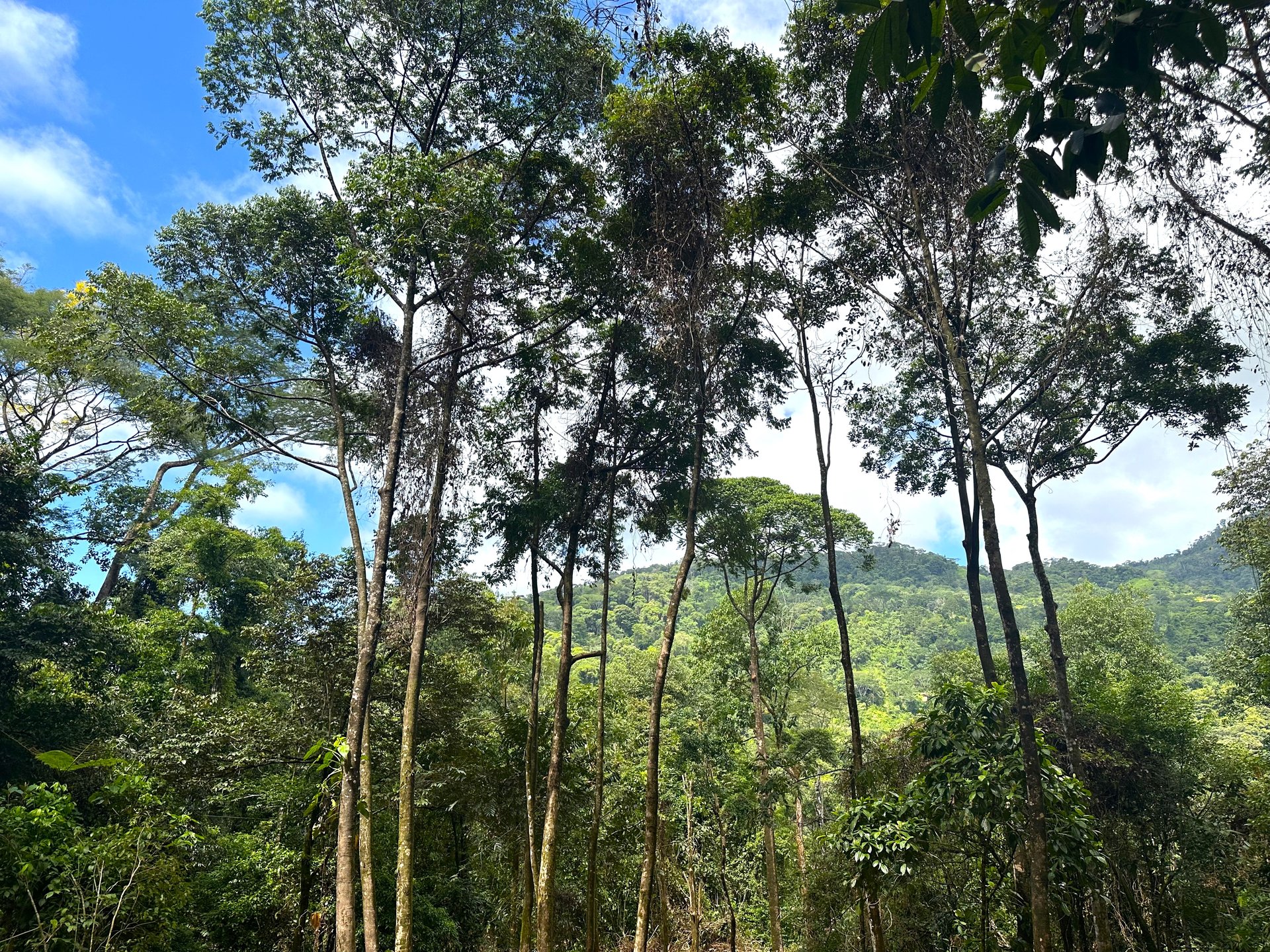Mountain View Building Lot in Prestigious Gated Community With Private Waterfall & Two Building Sites