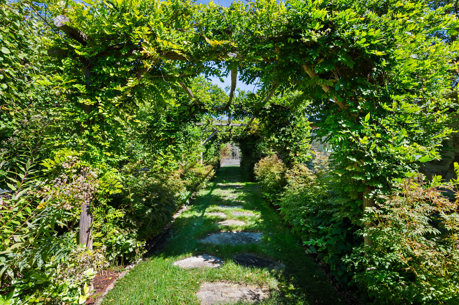 Brook Hollow Farm