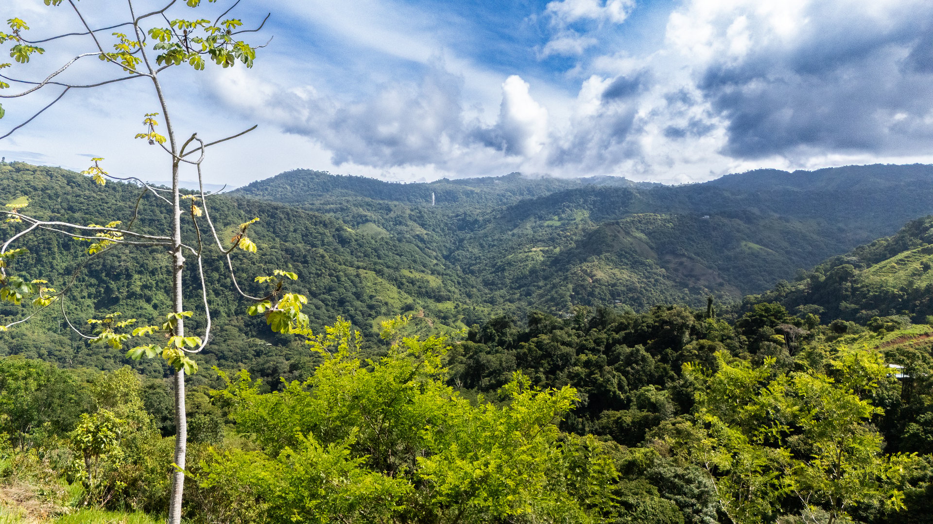 San Josecito Farm Above Uvita, 4 Acres, Creek and Usable Land
