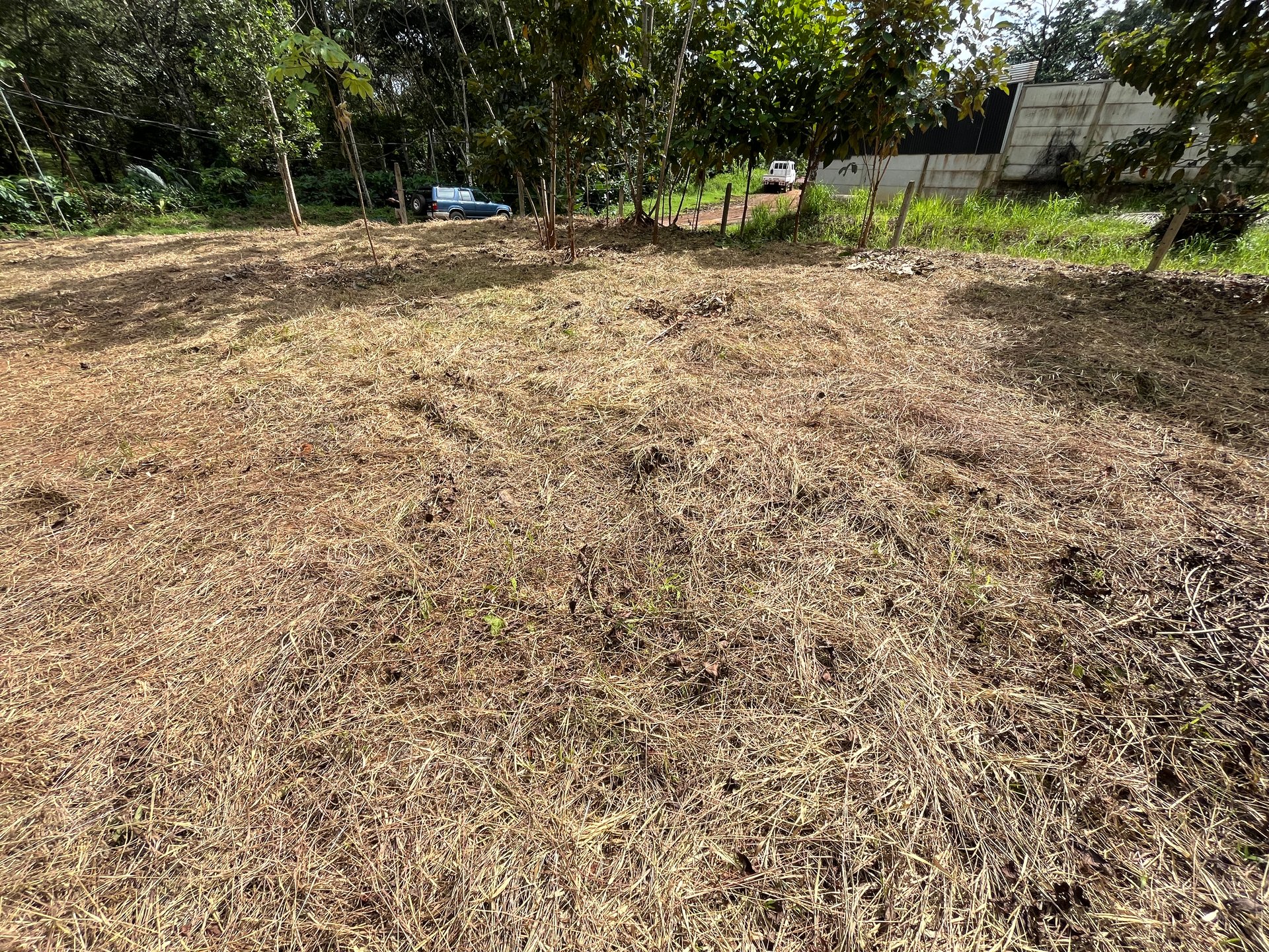 Affordable Uvita Lot UNDER $200-per-sqm - Perfect for Your Dream Home or Airbnb Investment