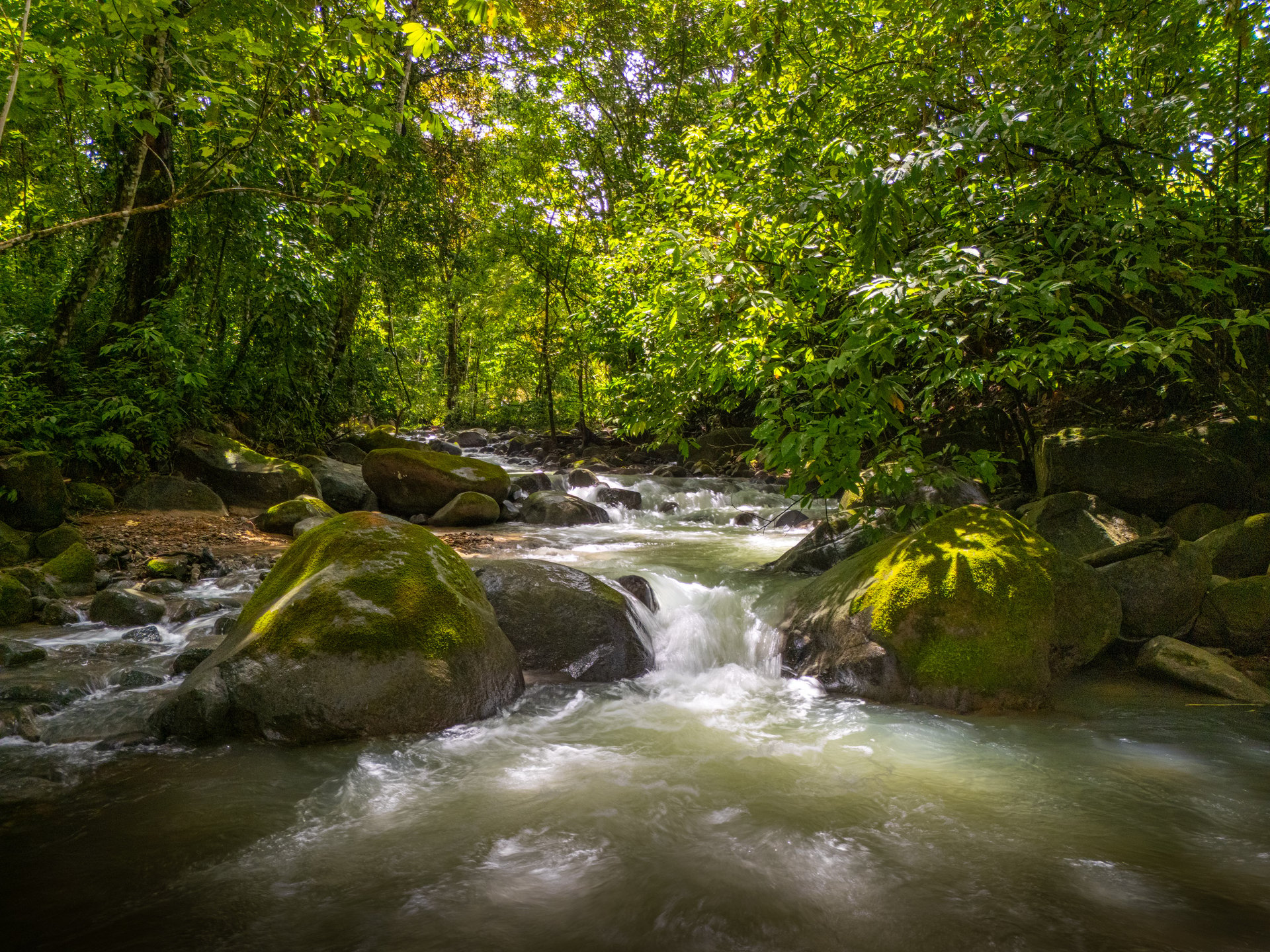 Plant Your Roots at Tierra Bendita! 2.5 Acres, River Frontage, 2 Bedroom Home, Private, Easy Access!