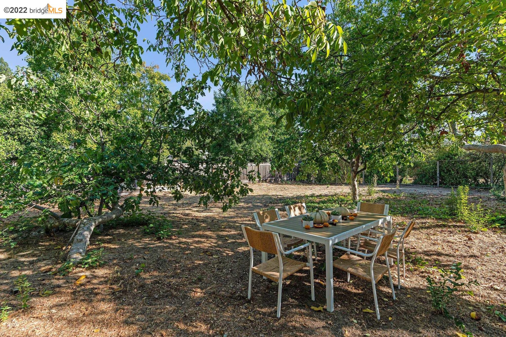 10 Woodside Dr