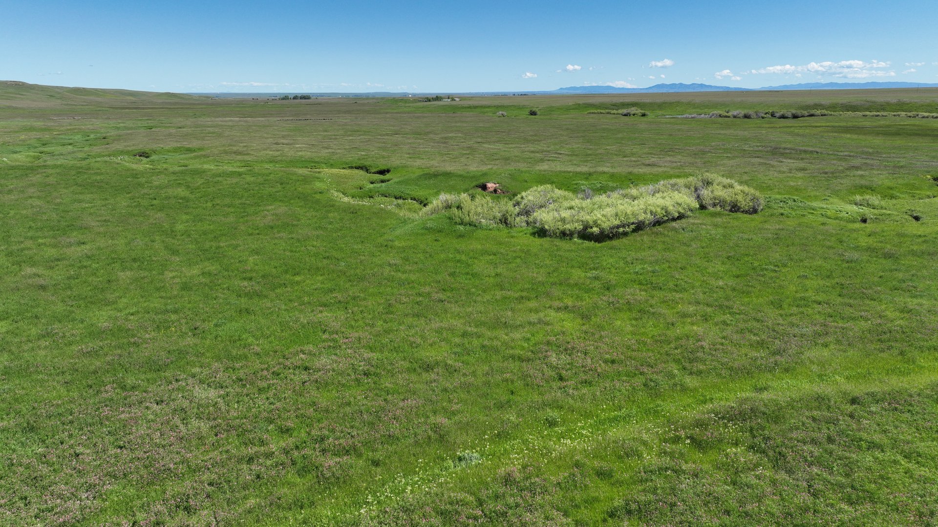 Antelope Creek Ranch