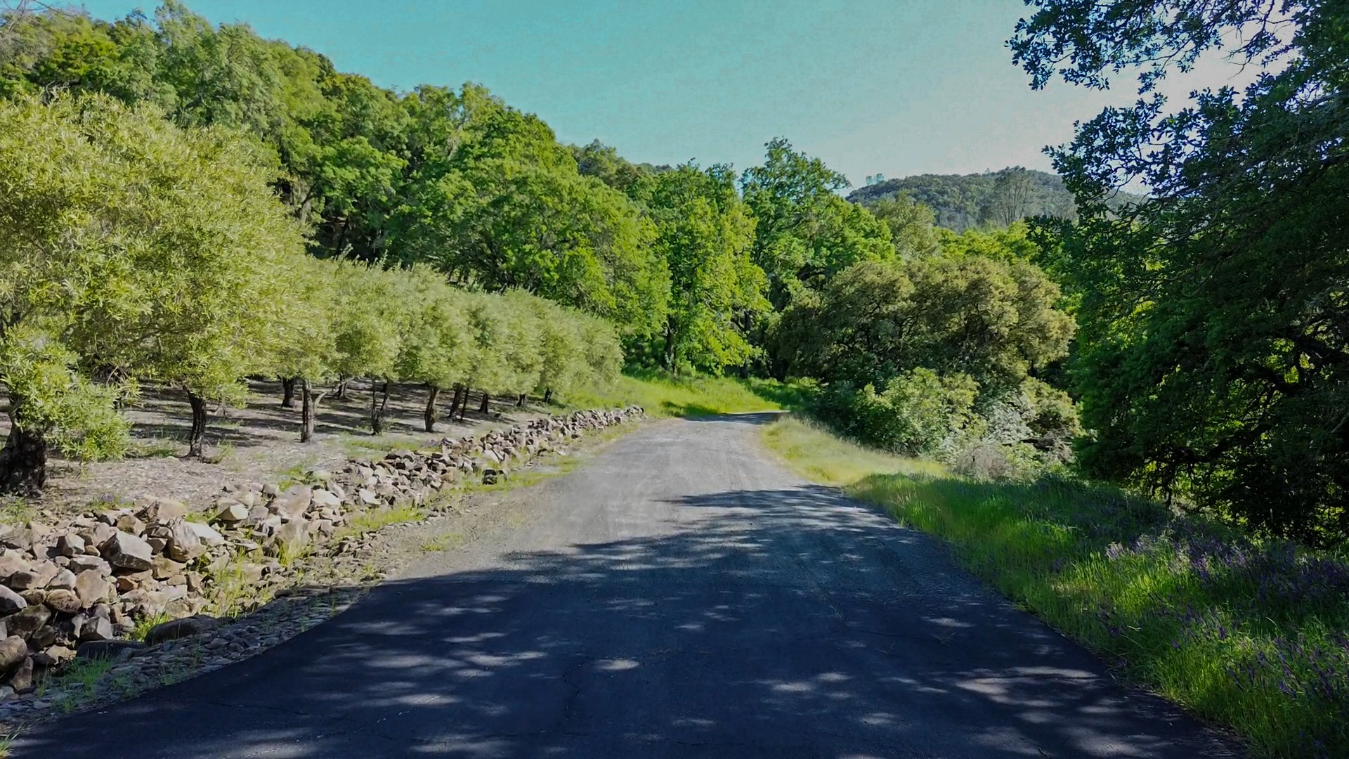 Napa Valley Compound