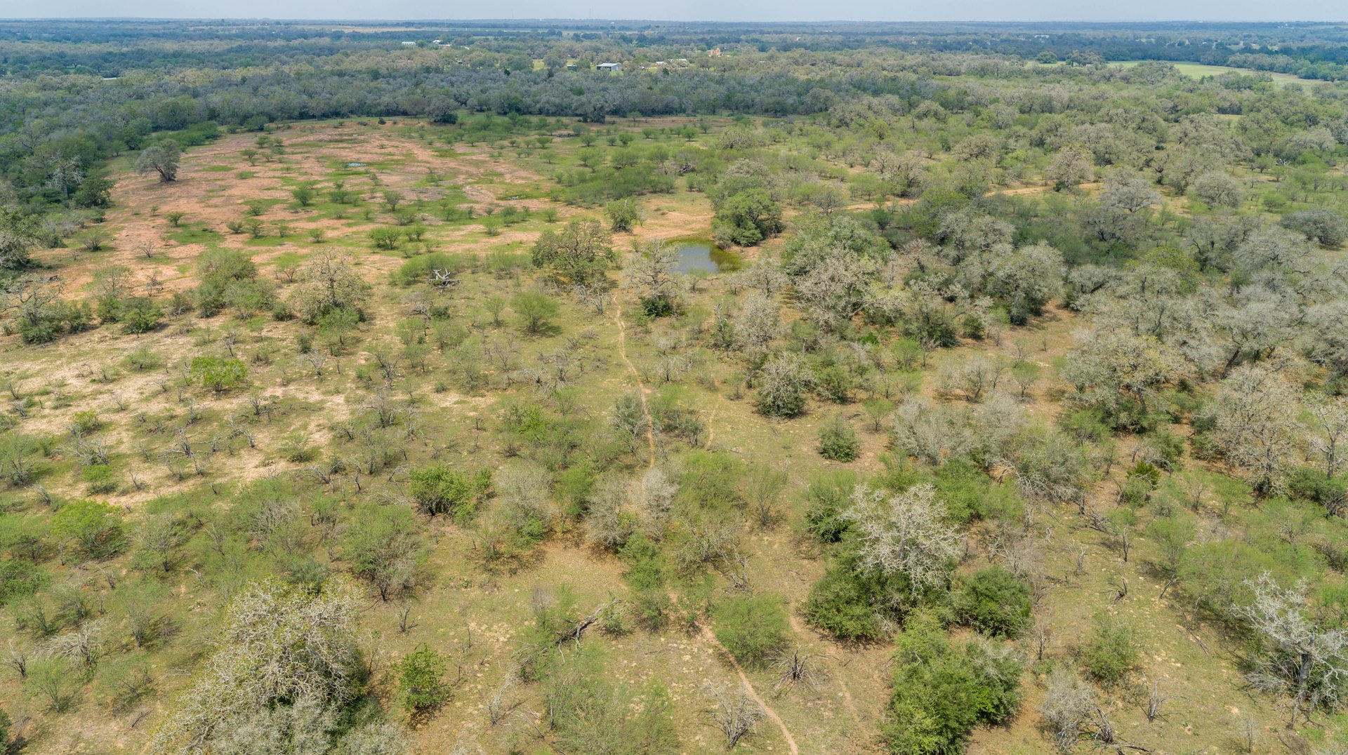 Five Mile Creek Reserve | 252.73± Acres-High Fence | DeWitt County, TX
