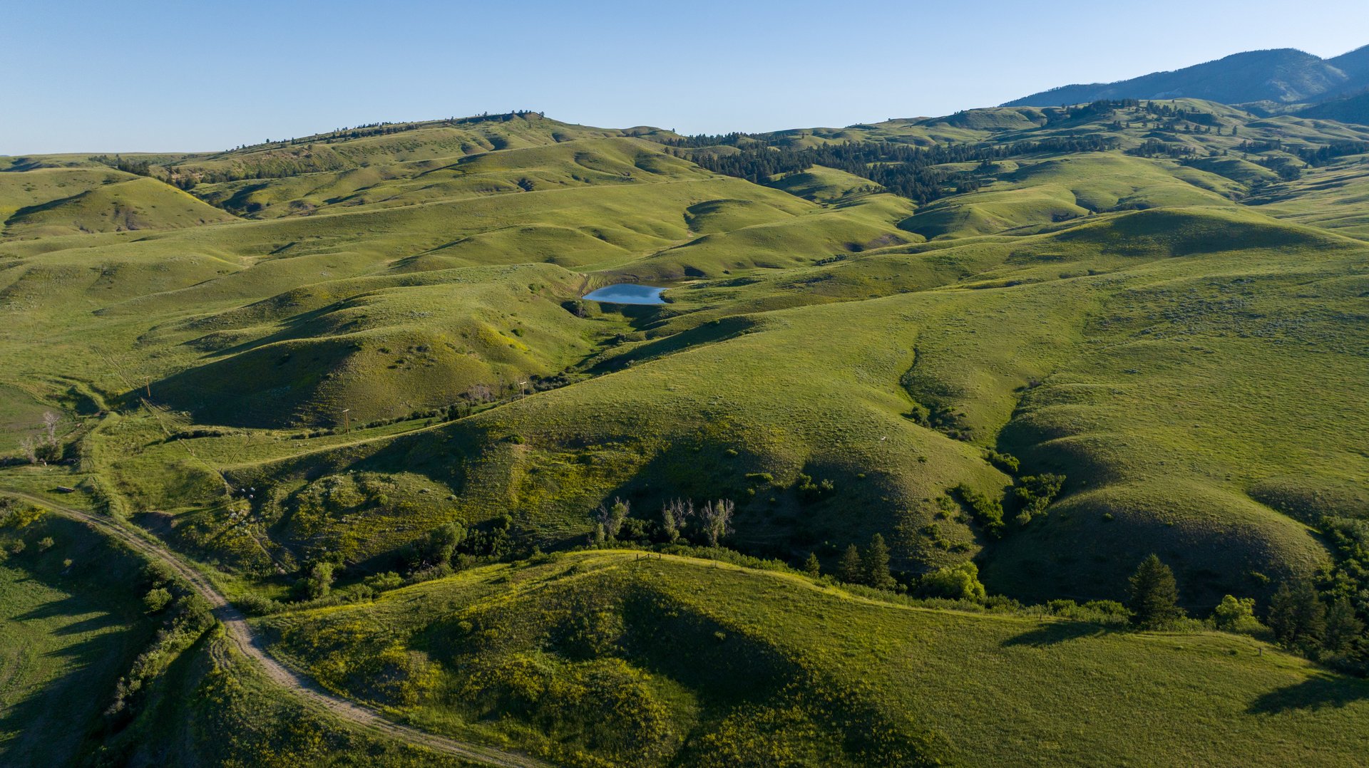 Big Spring Legacy Ranch