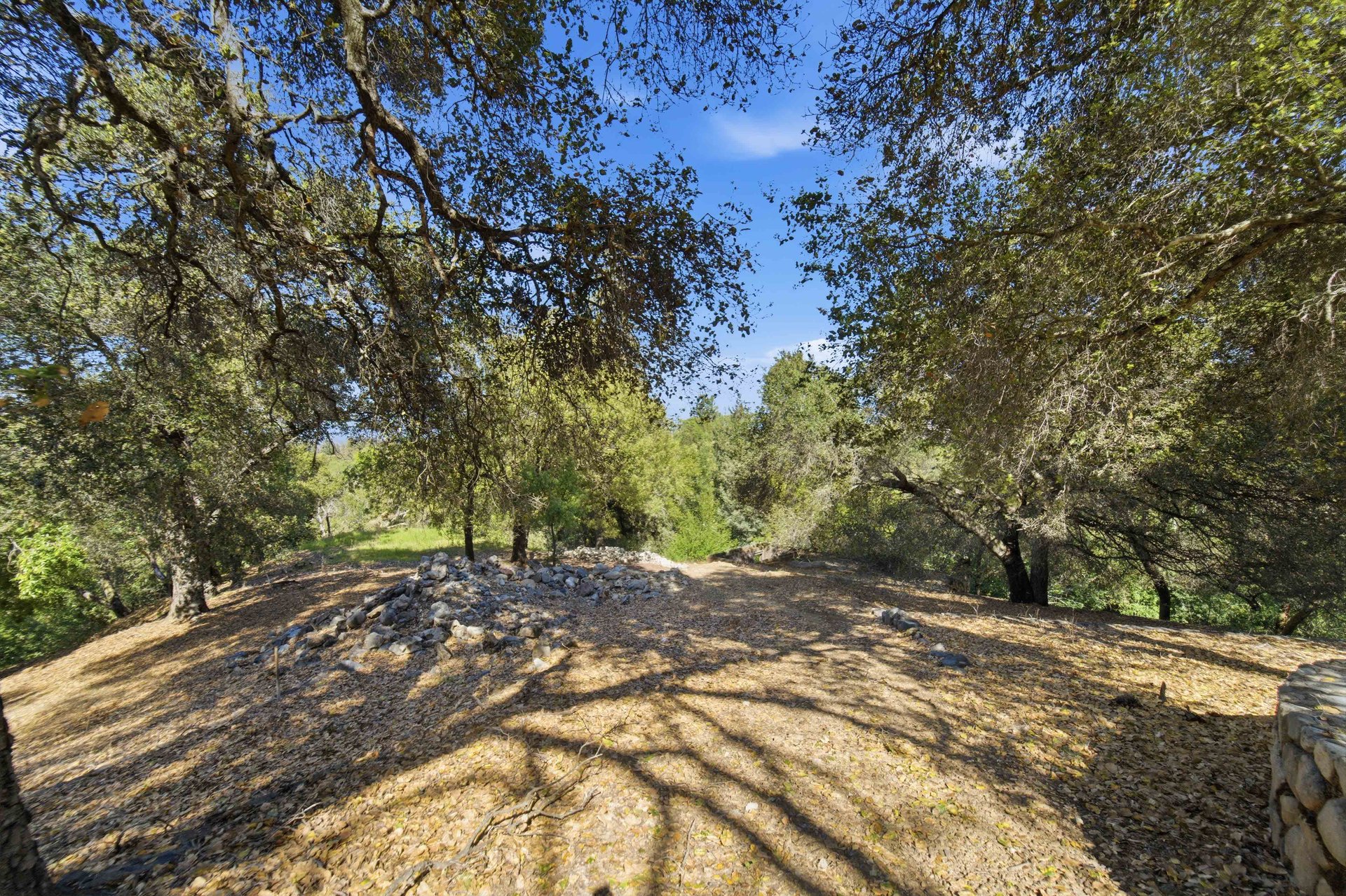 Montalvo Manor