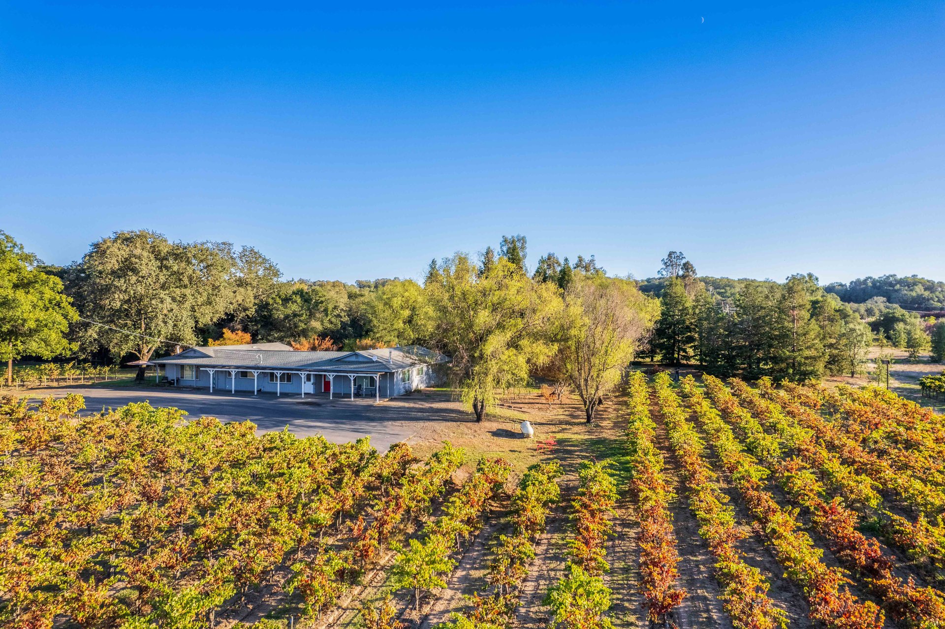 725 Lytton Station