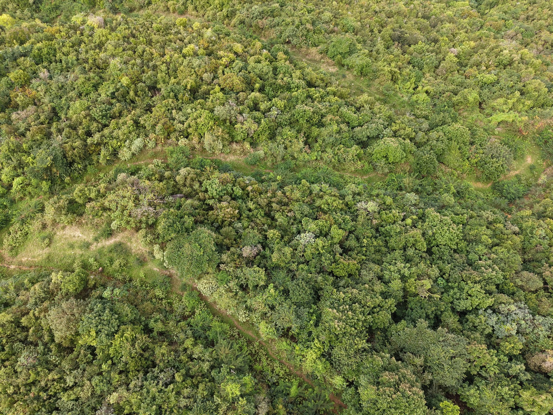 1030 Lorimer Lot - 0.51 Acres Close to the Ocean