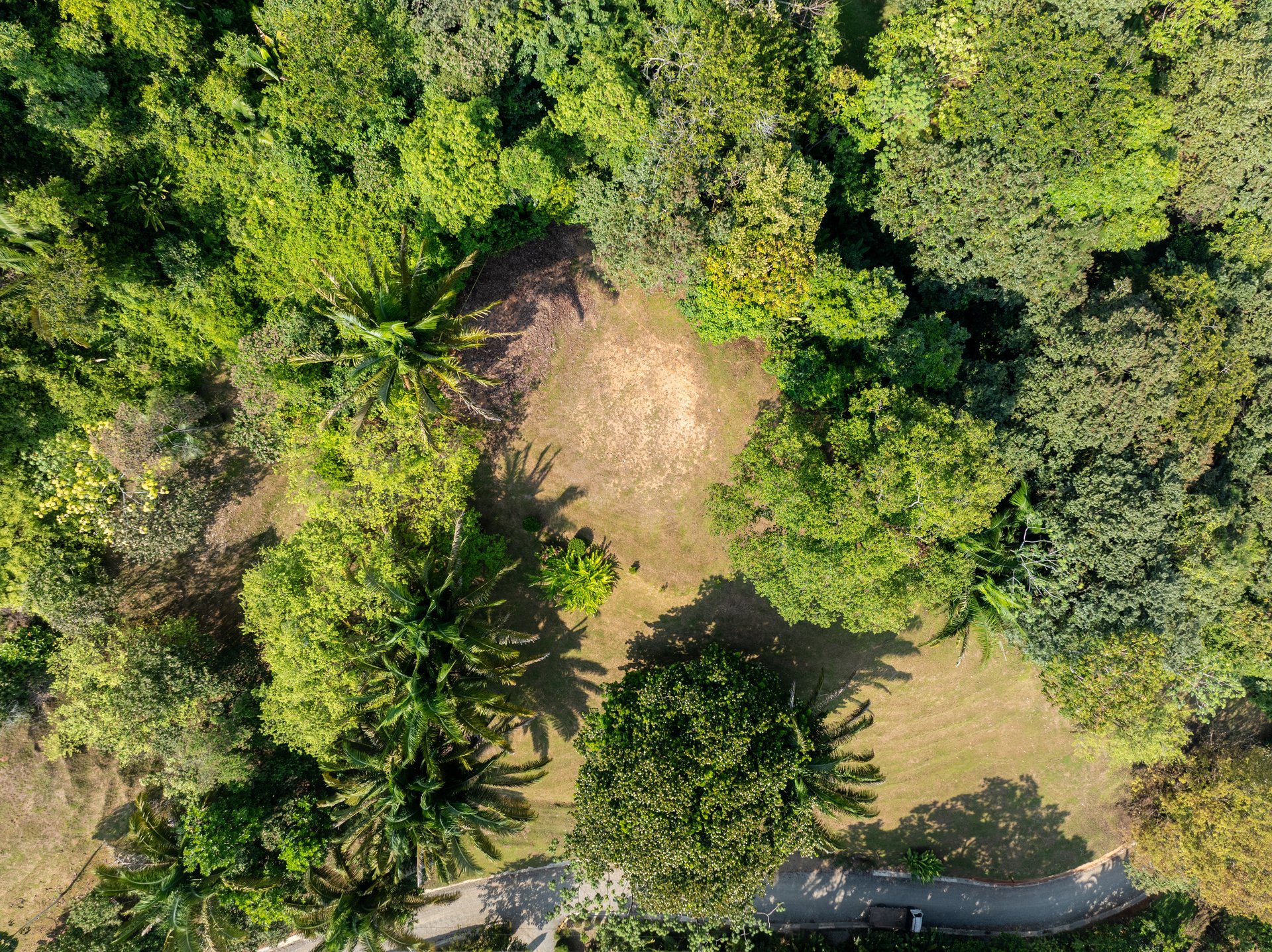 Uvita Las Colinas Prime Ocean View Lot #1