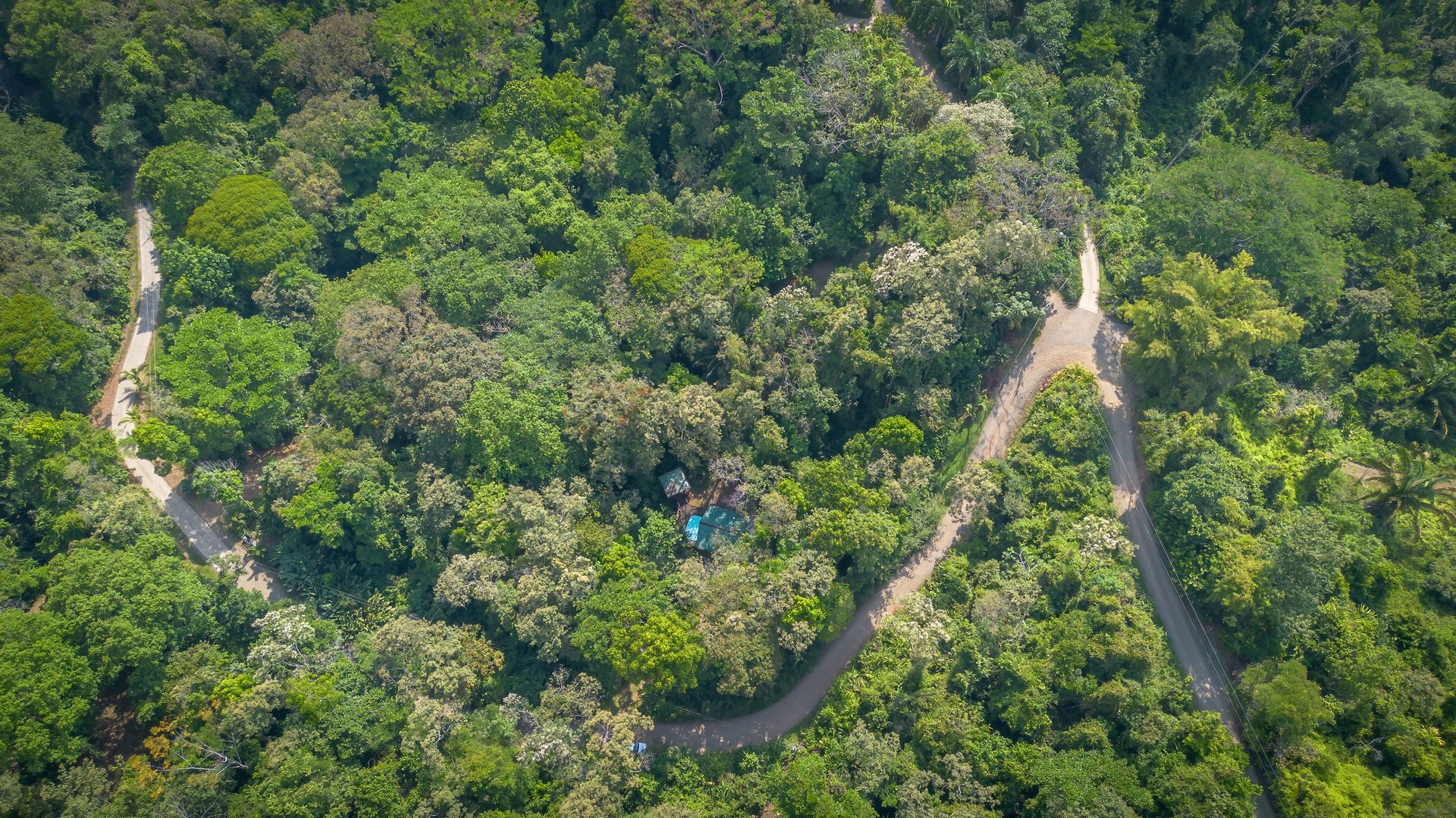 Private Jungle Oasis! 1 Bed, 1 Bath Hatillo Haven