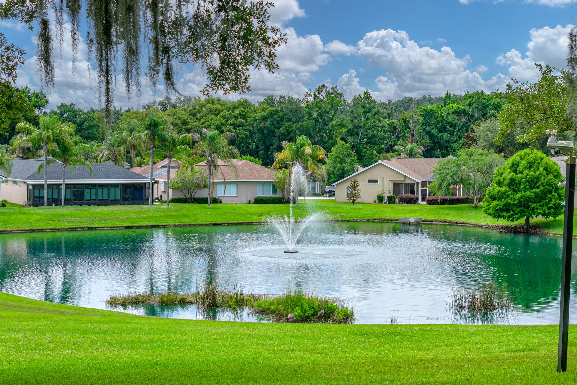12215 WOODLANDS CIR