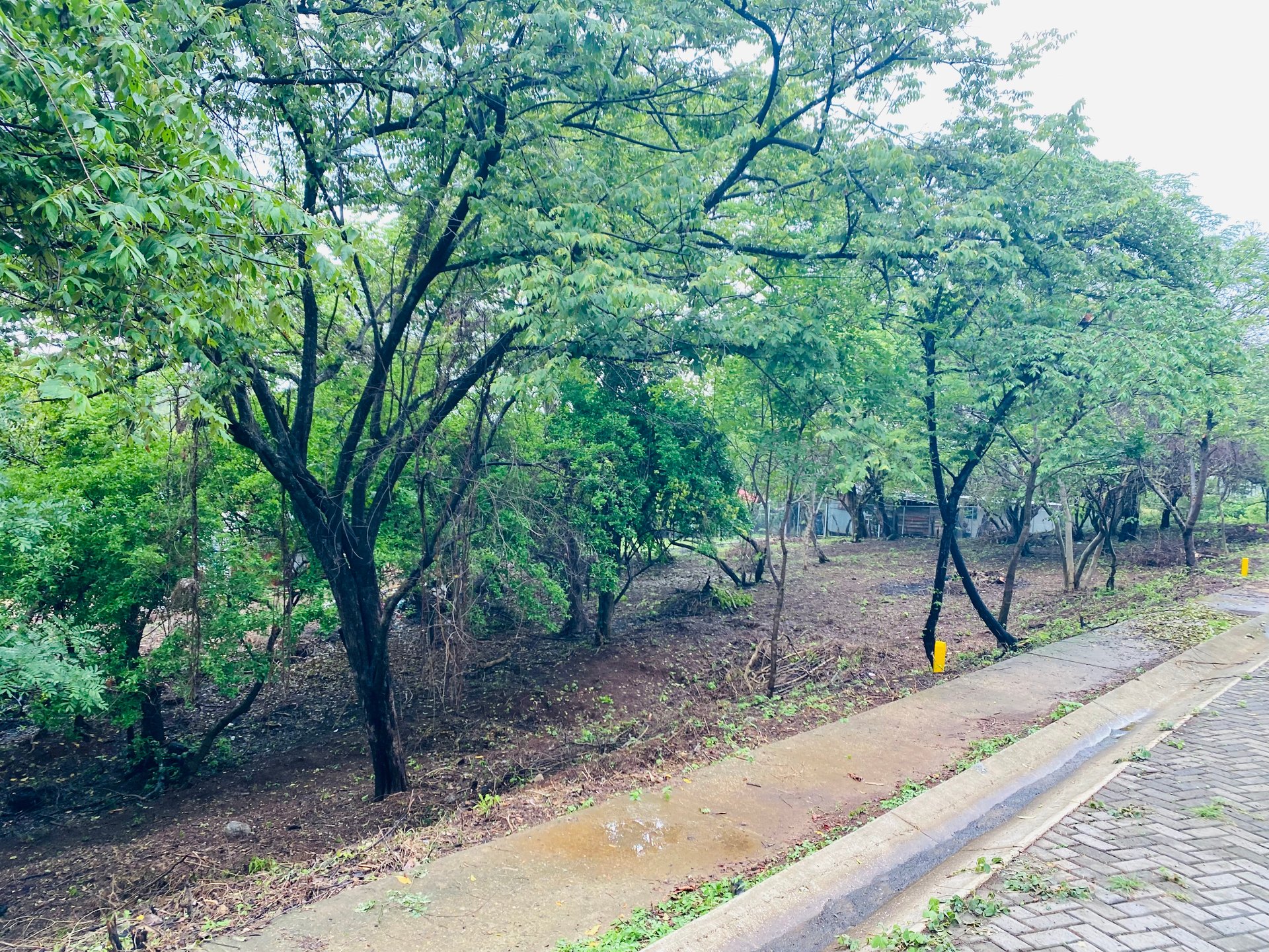 Valle Escondido