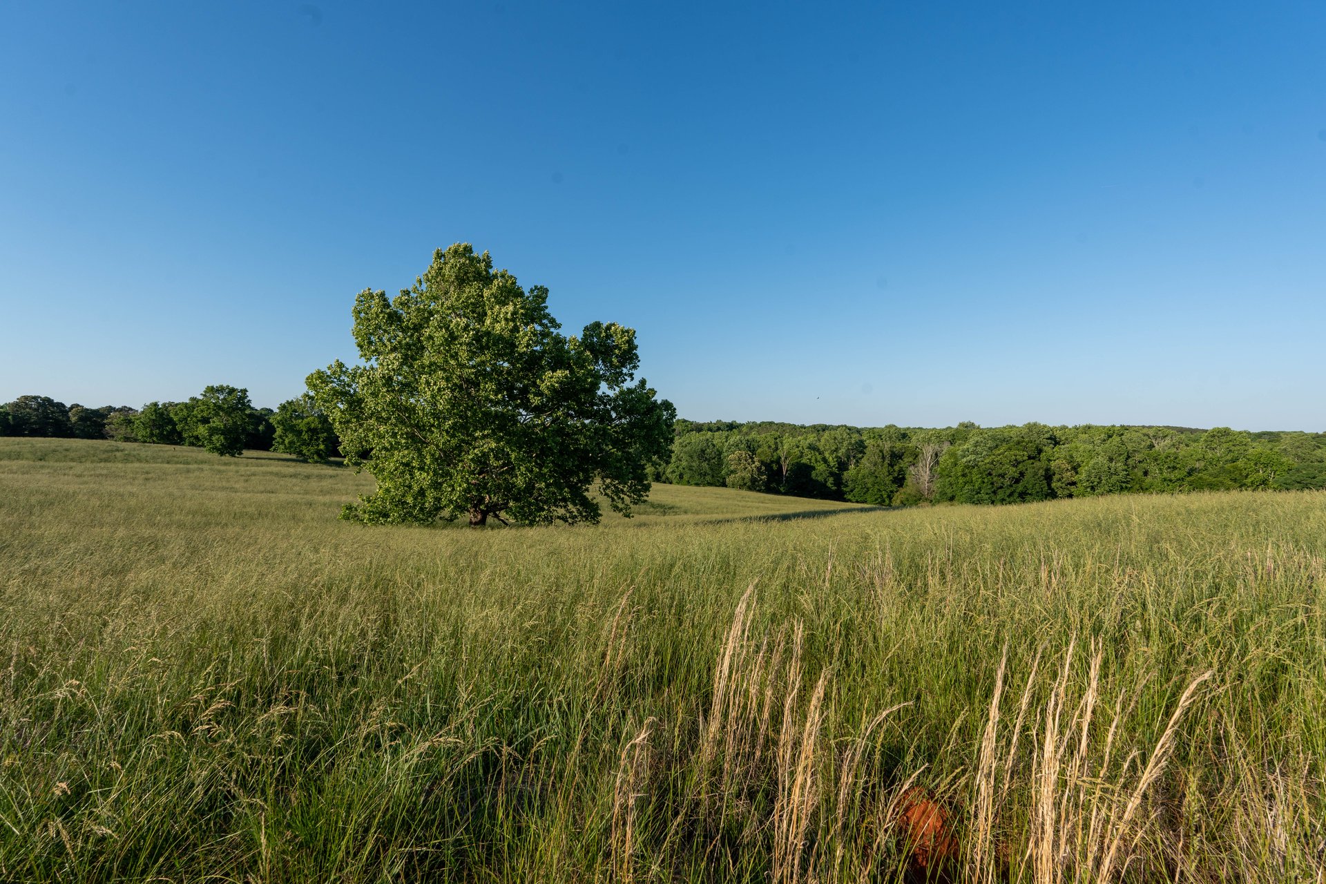 The Ranches at Sandy Creek