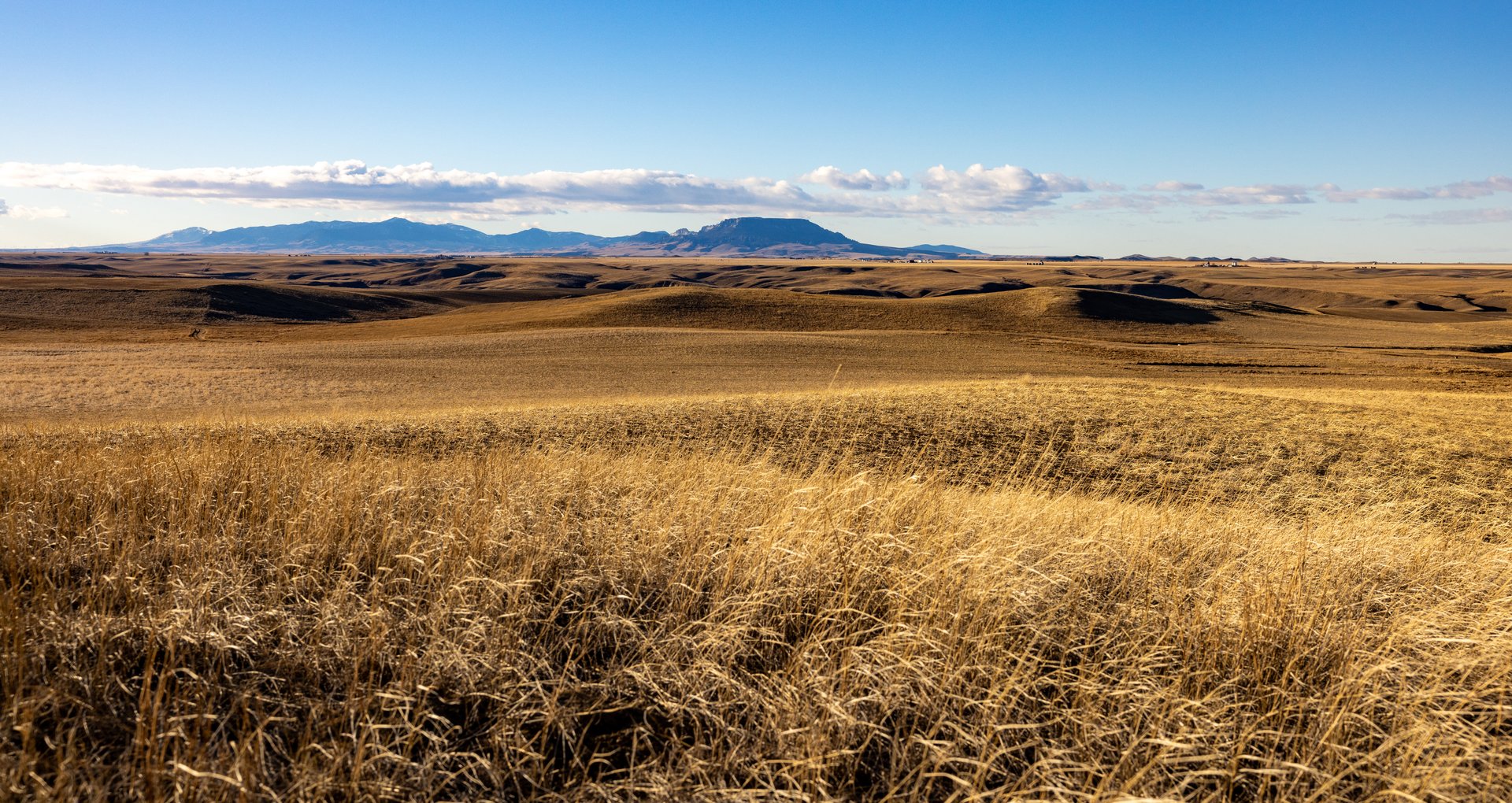 Prairie Rise Ranch