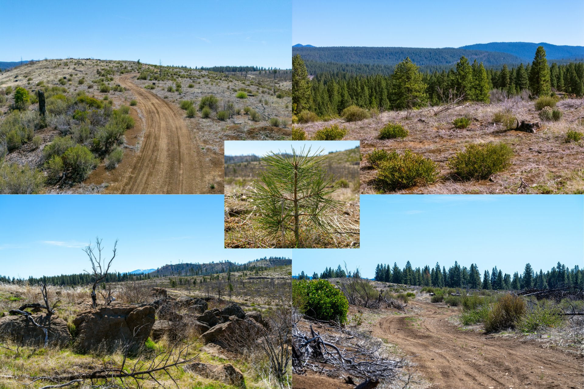 Klamath Basin