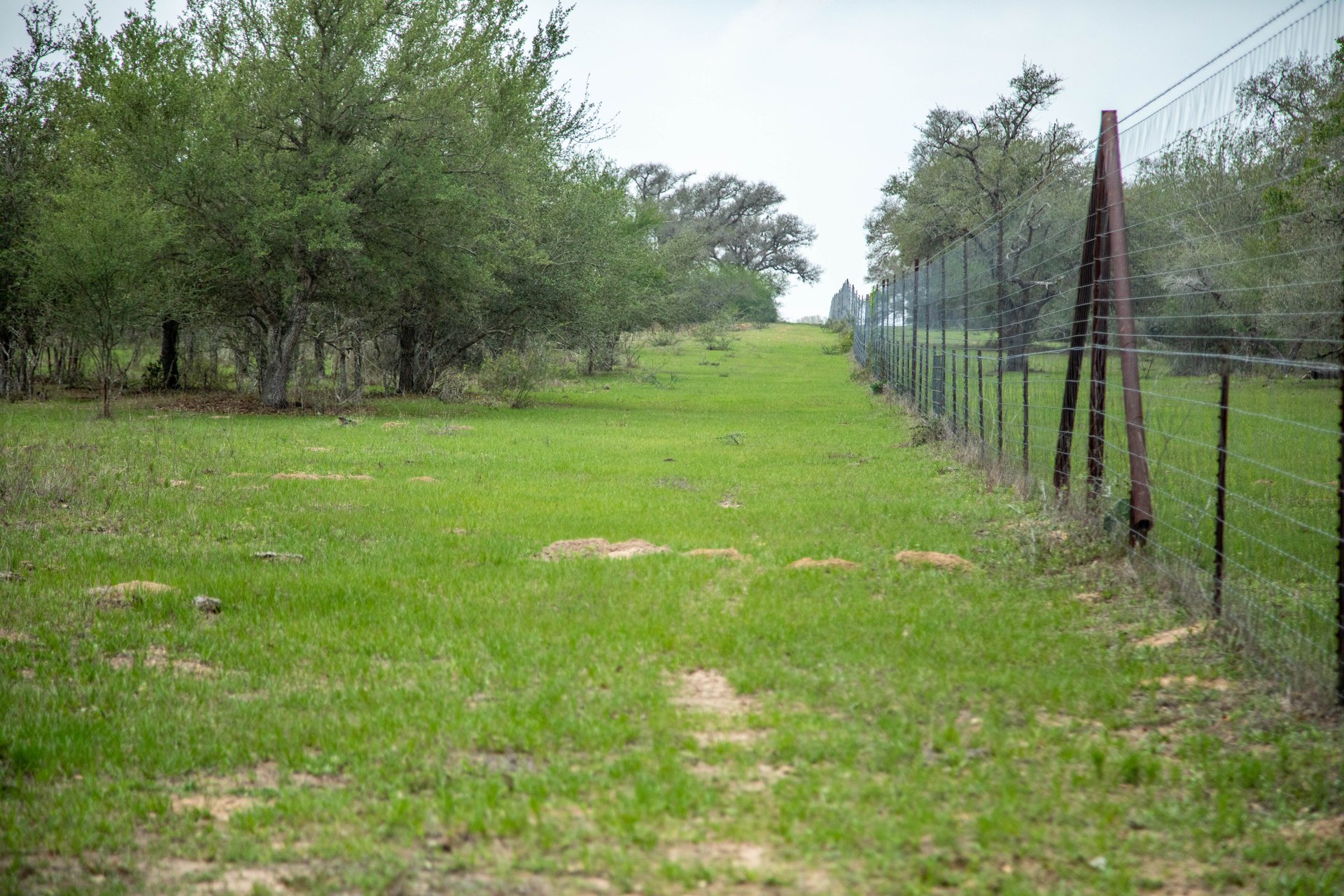 Five Mile Creek Reserve | 252.73± Acres-High Fence | DeWitt County, TX