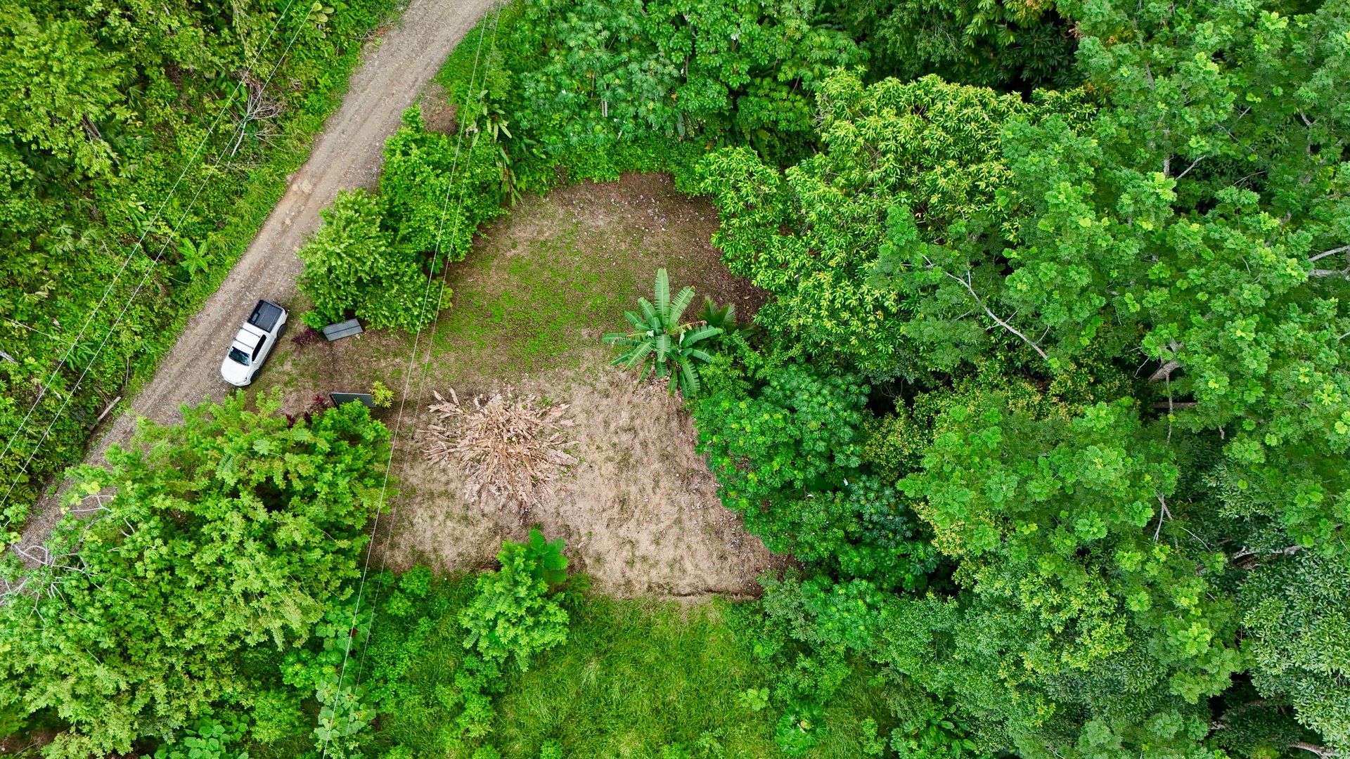 Tres Ríos Jungle Sanctuary | Ready-to-Build Lot Surrounded by Nature