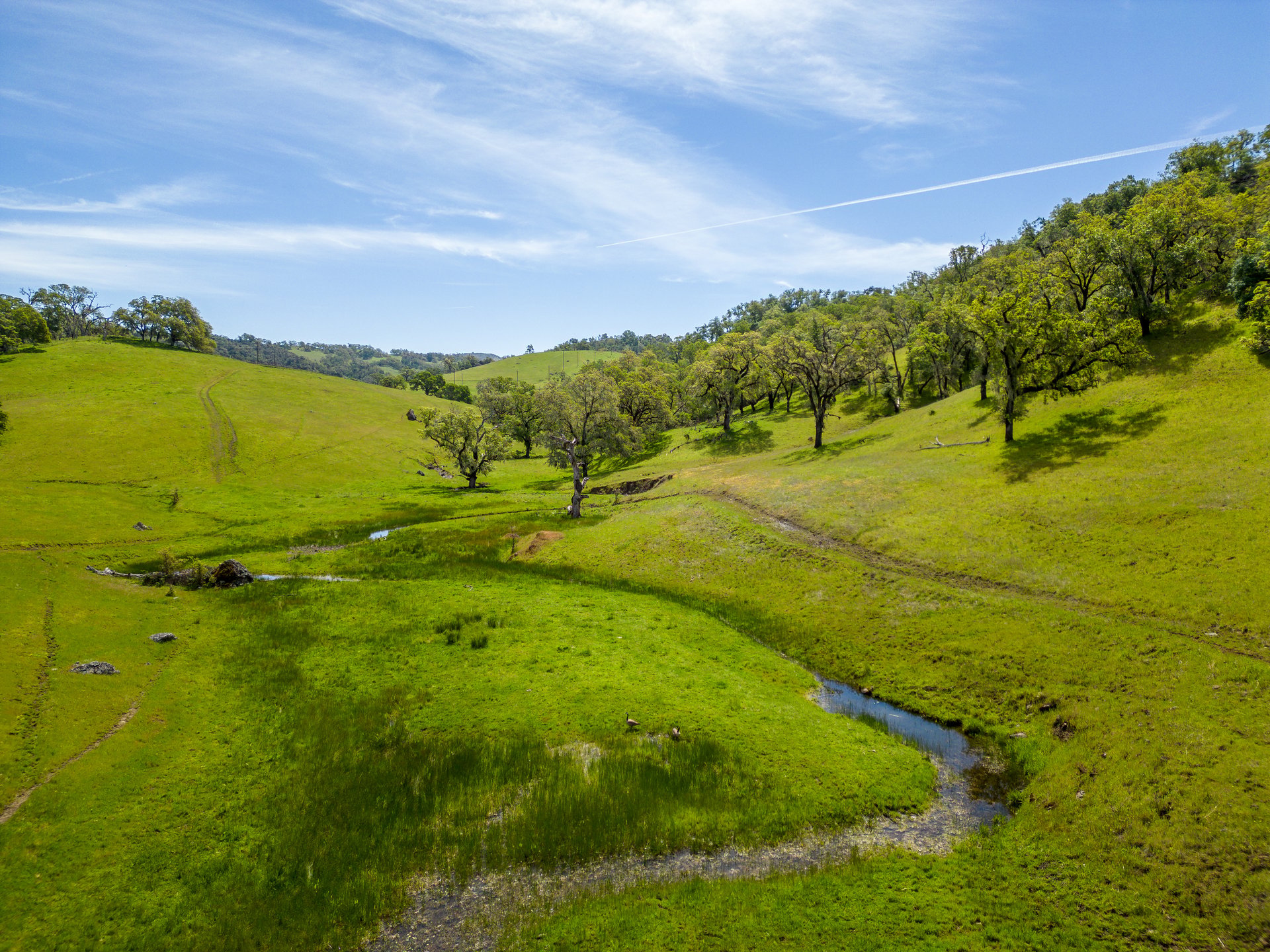 The Hopland Hills Ranch