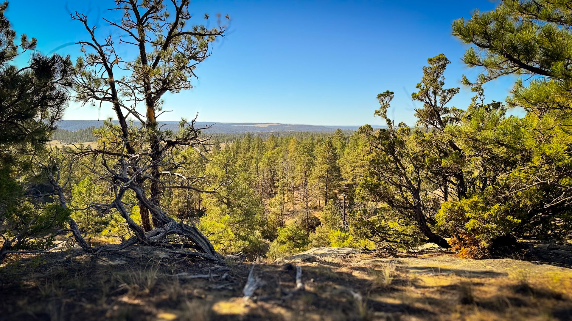Bull Mountain Overlook