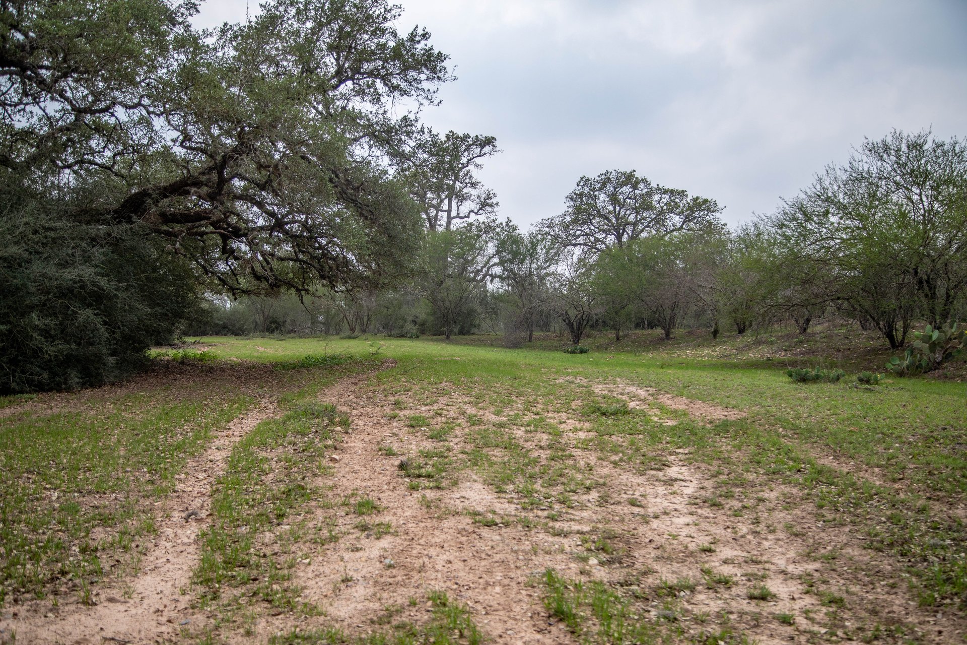 Five Mile Creek Reserve | 252.73± Acres-High Fence | DeWitt County, TX